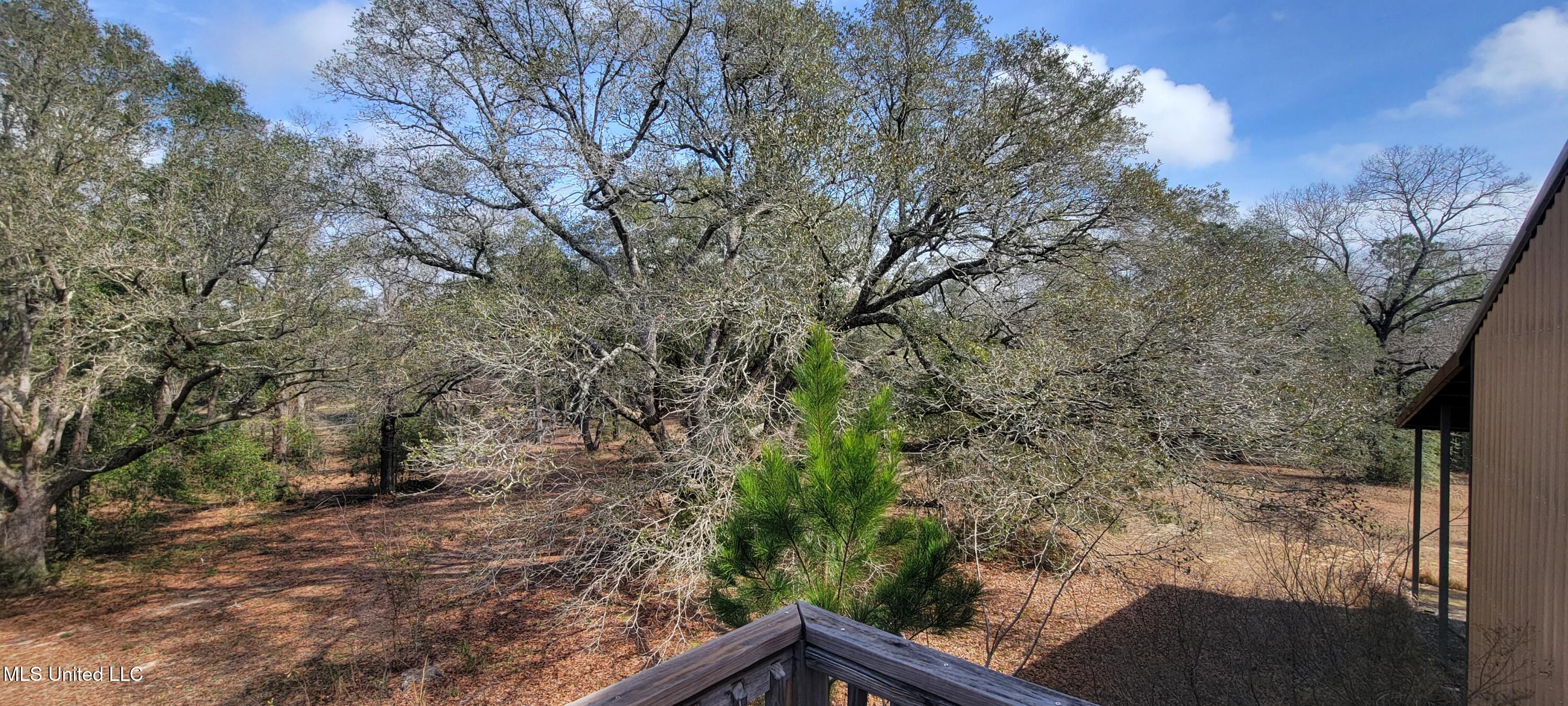 12174 Vidalia Road Property Photo 21