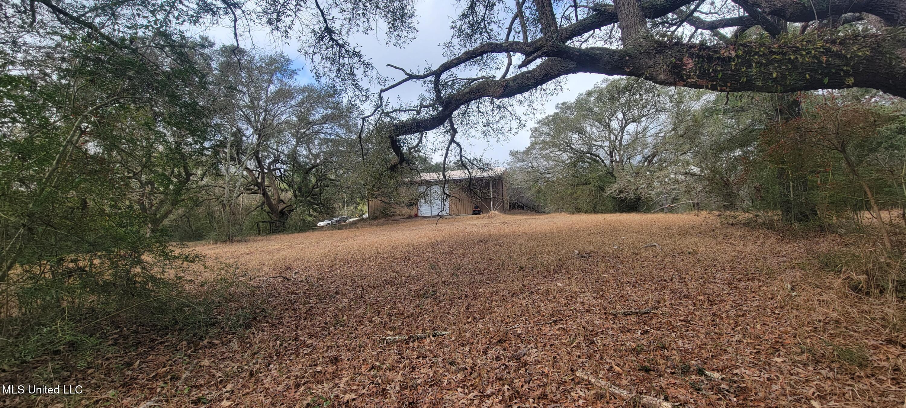 12174 Vidalia Road Property Photo 33