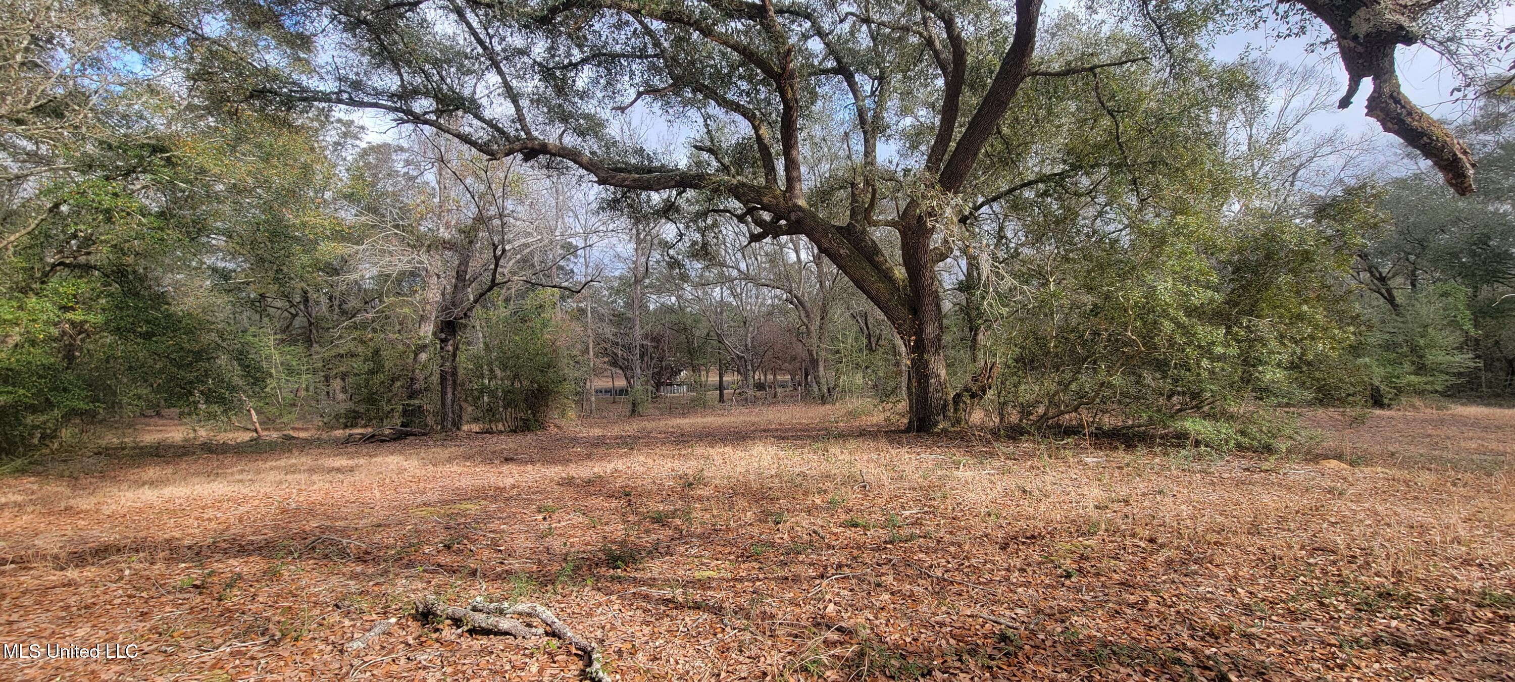 12174 Vidalia Road Property Photo 34