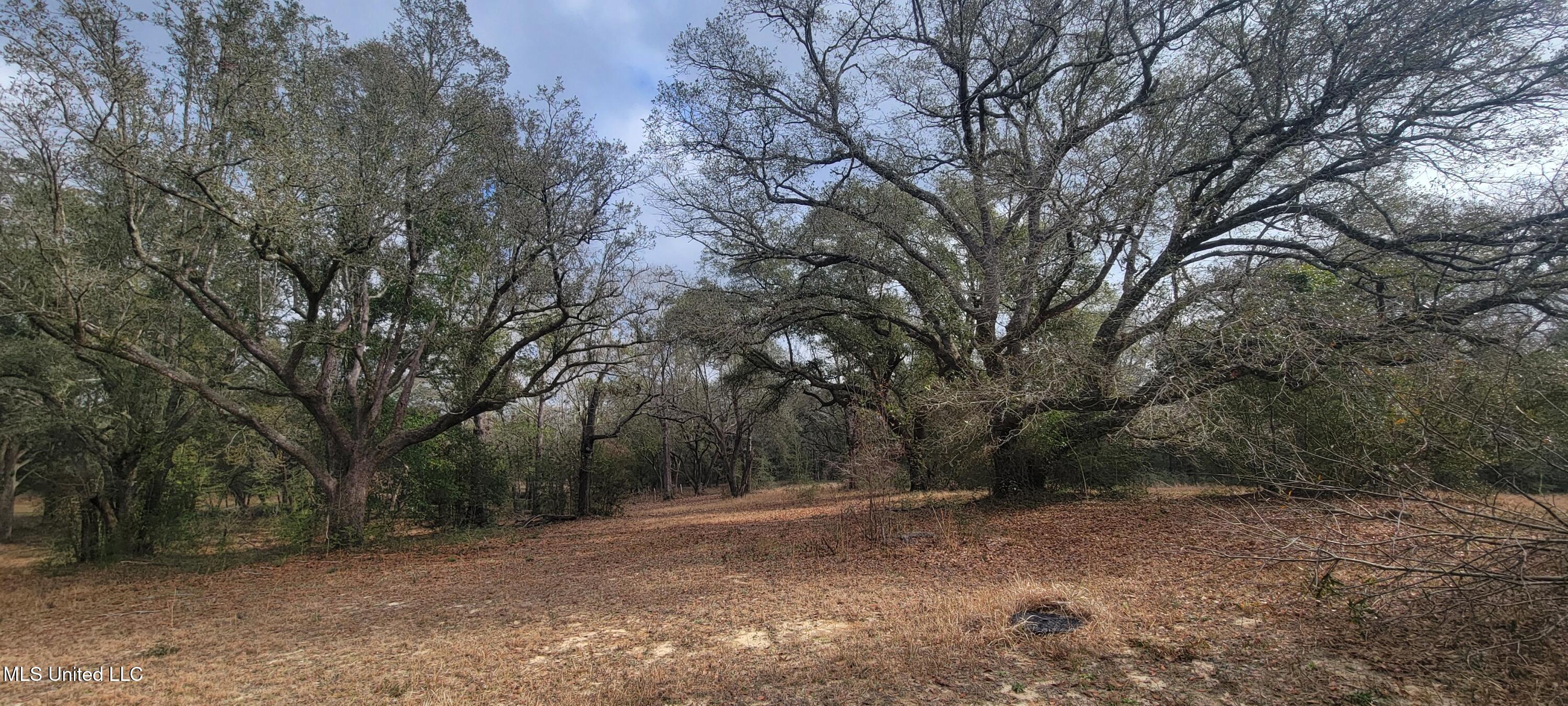12174 Vidalia Road Property Photo 35