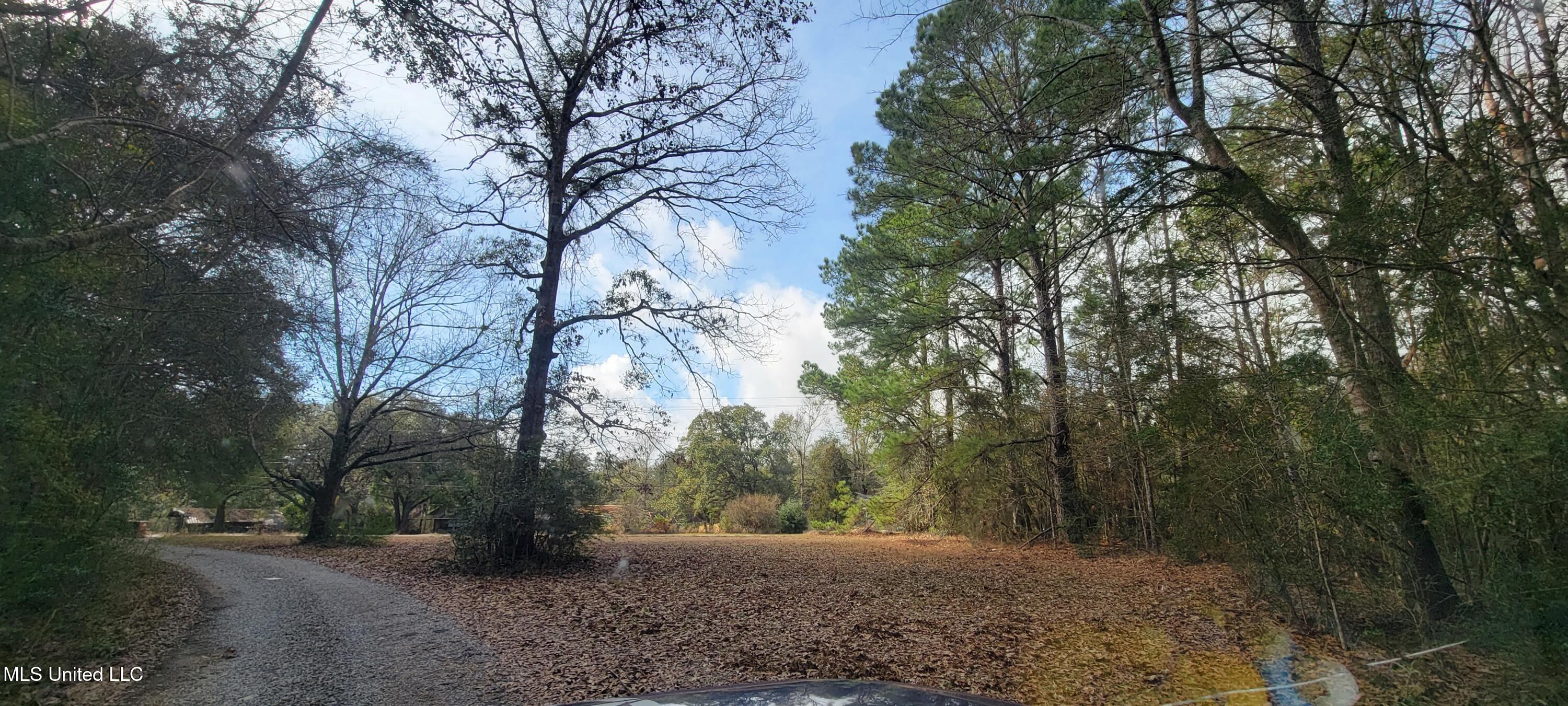 12174 Vidalia Road Property Photo 36