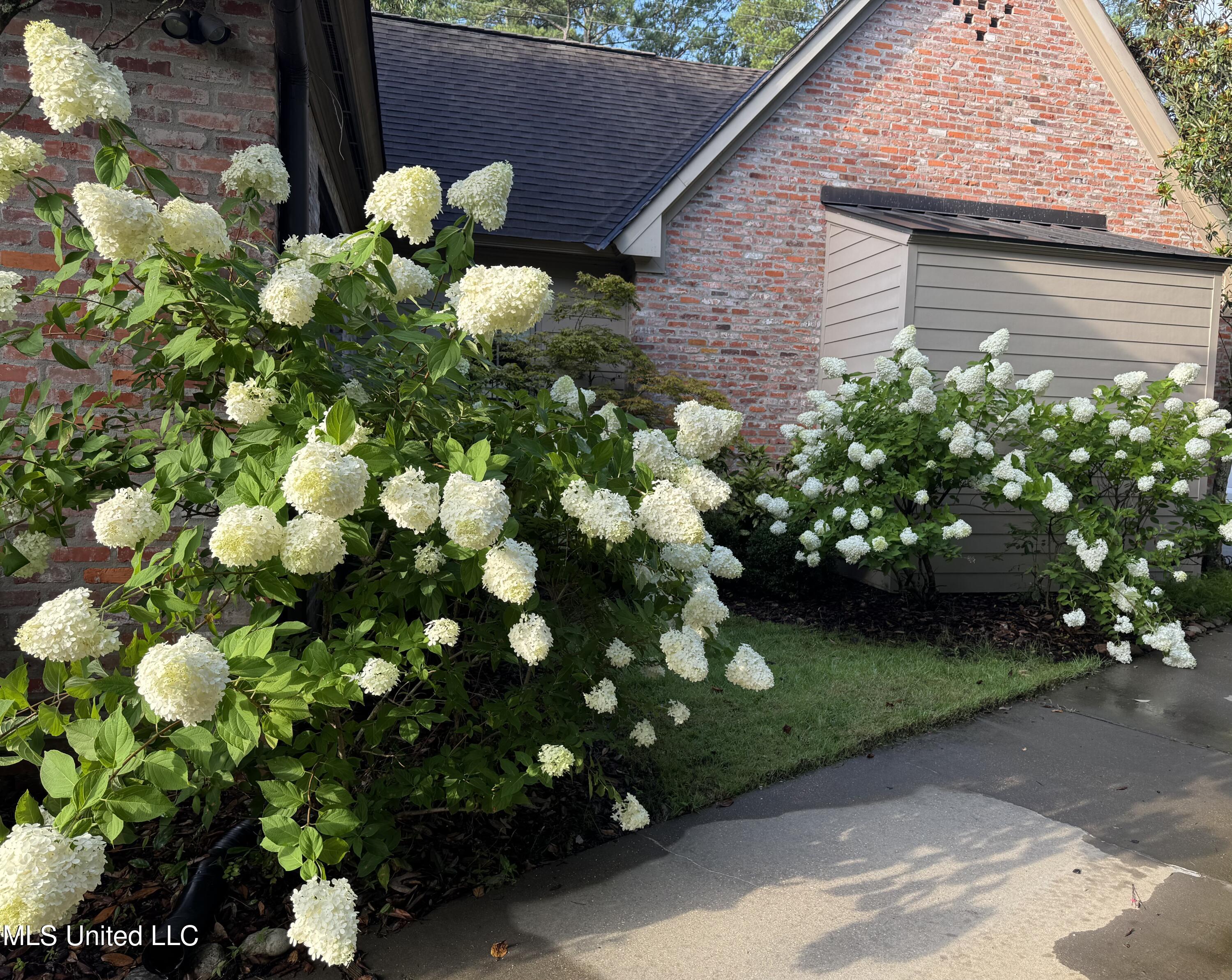 5 Pecan Tree Place Property Photo 42