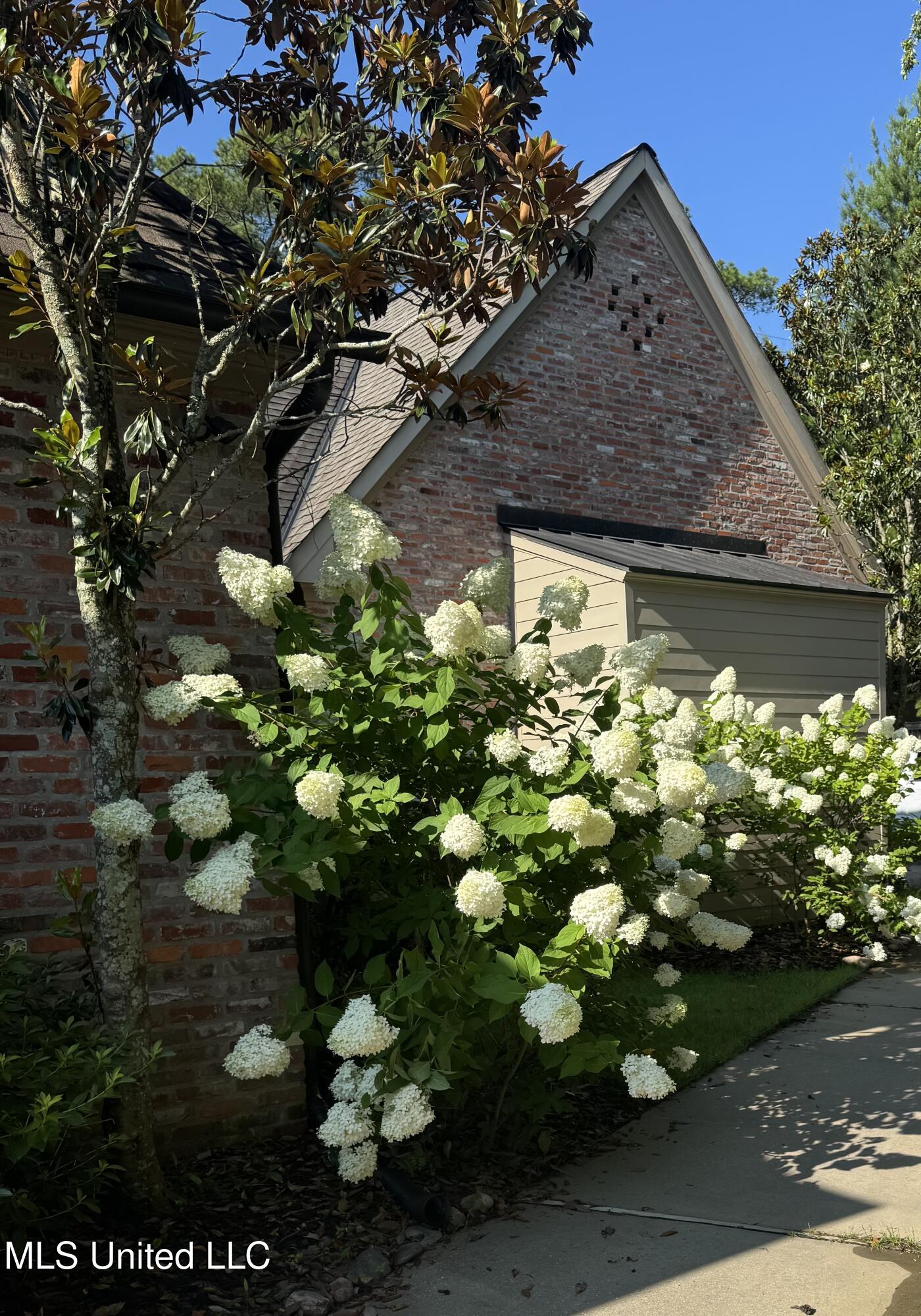 5 Pecan Tree Place Property Photo 43