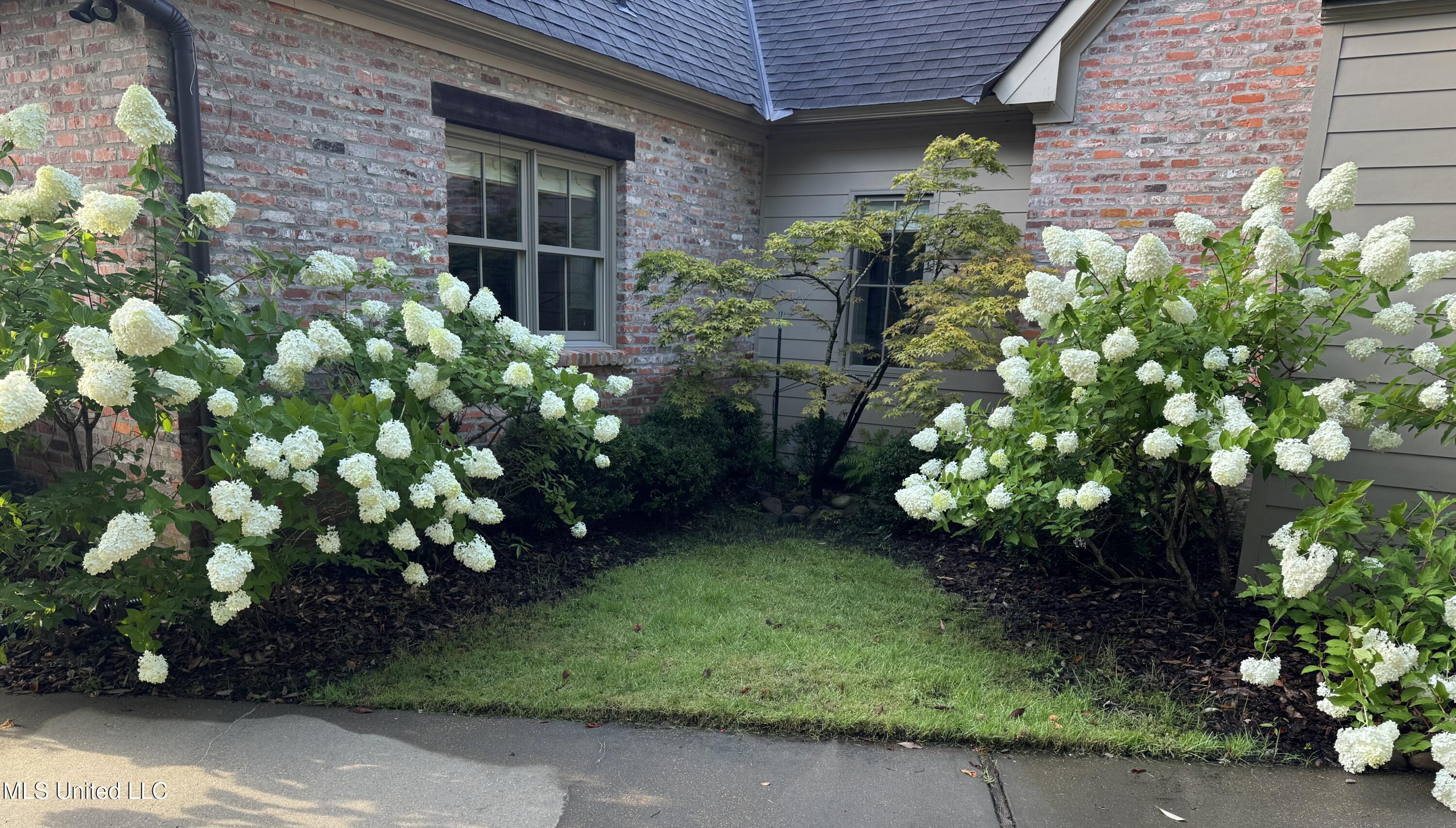 5 Pecan Tree Place Property Photo 45