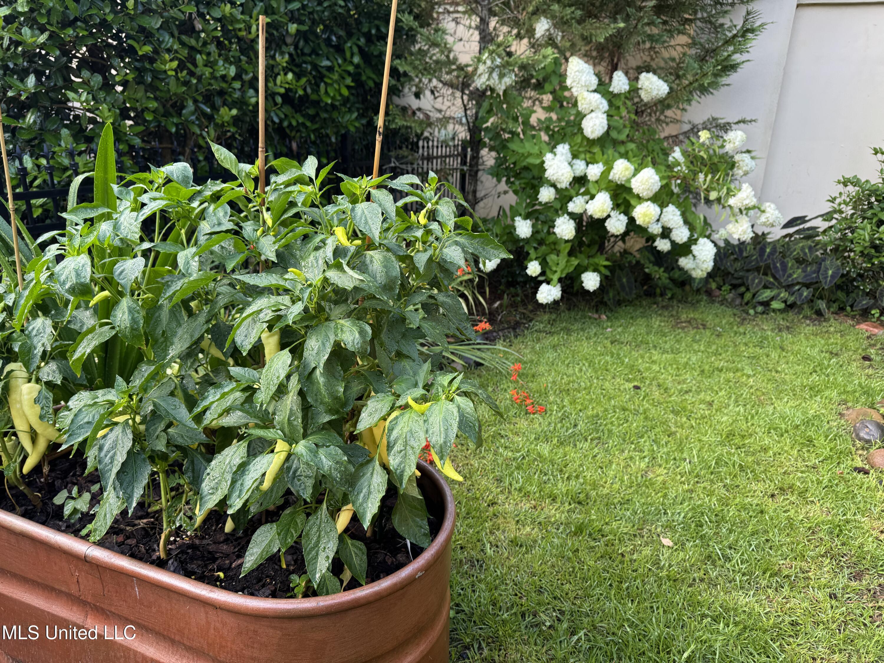 5 Pecan Tree Place Property Photo 46