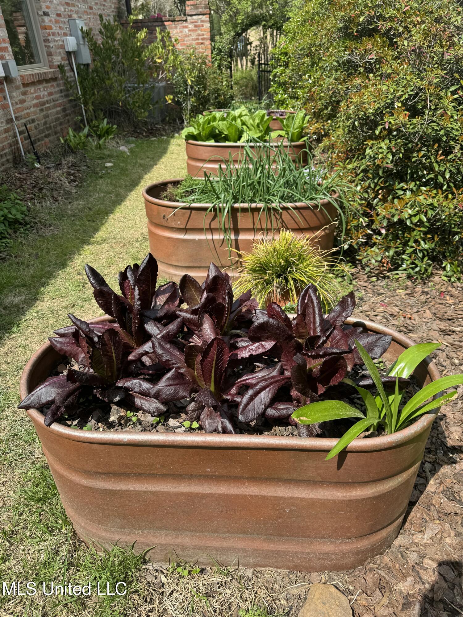 5 Pecan Tree Place Property Photo 47