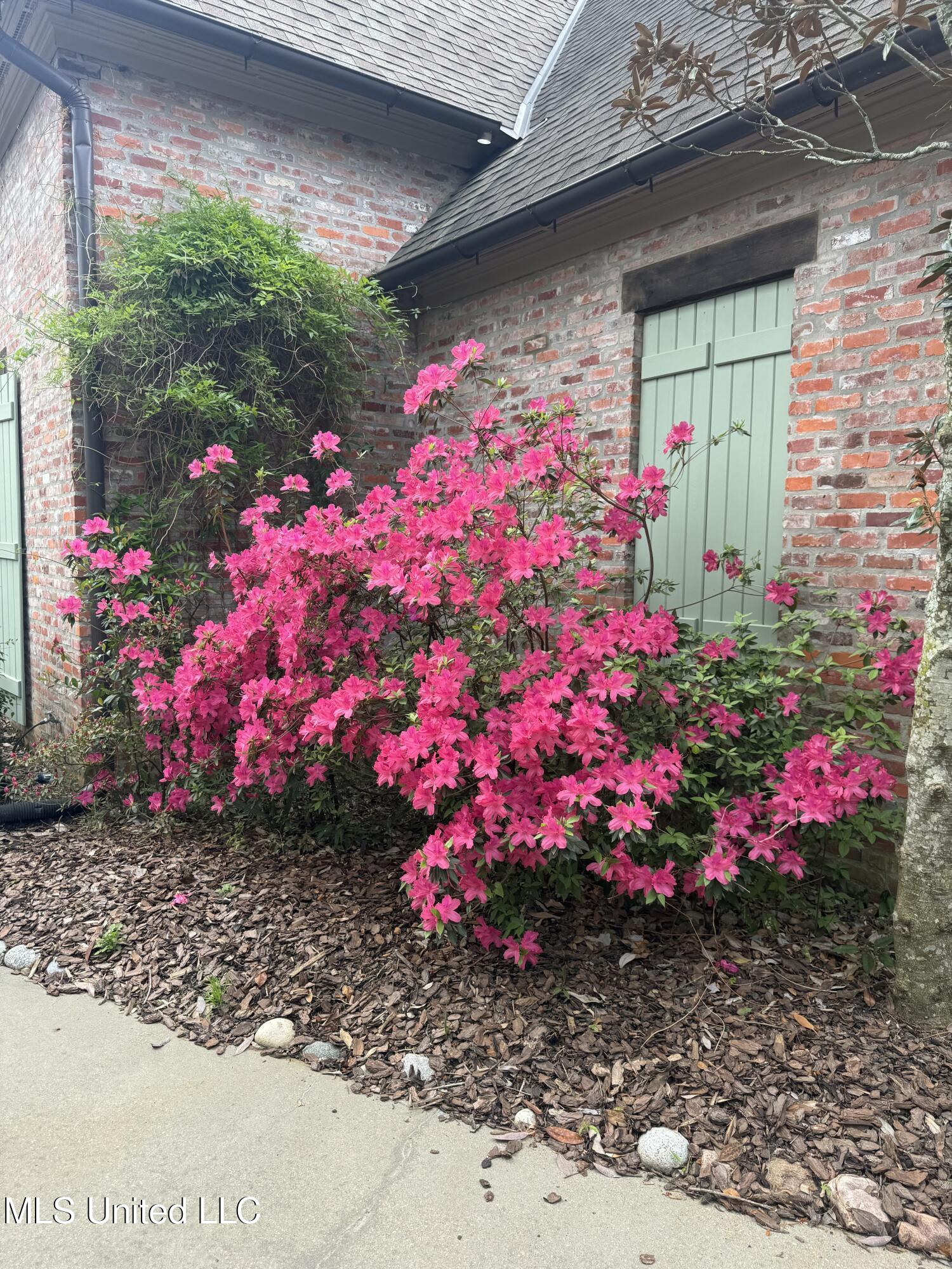 5 Pecan Tree Place Property Photo 59