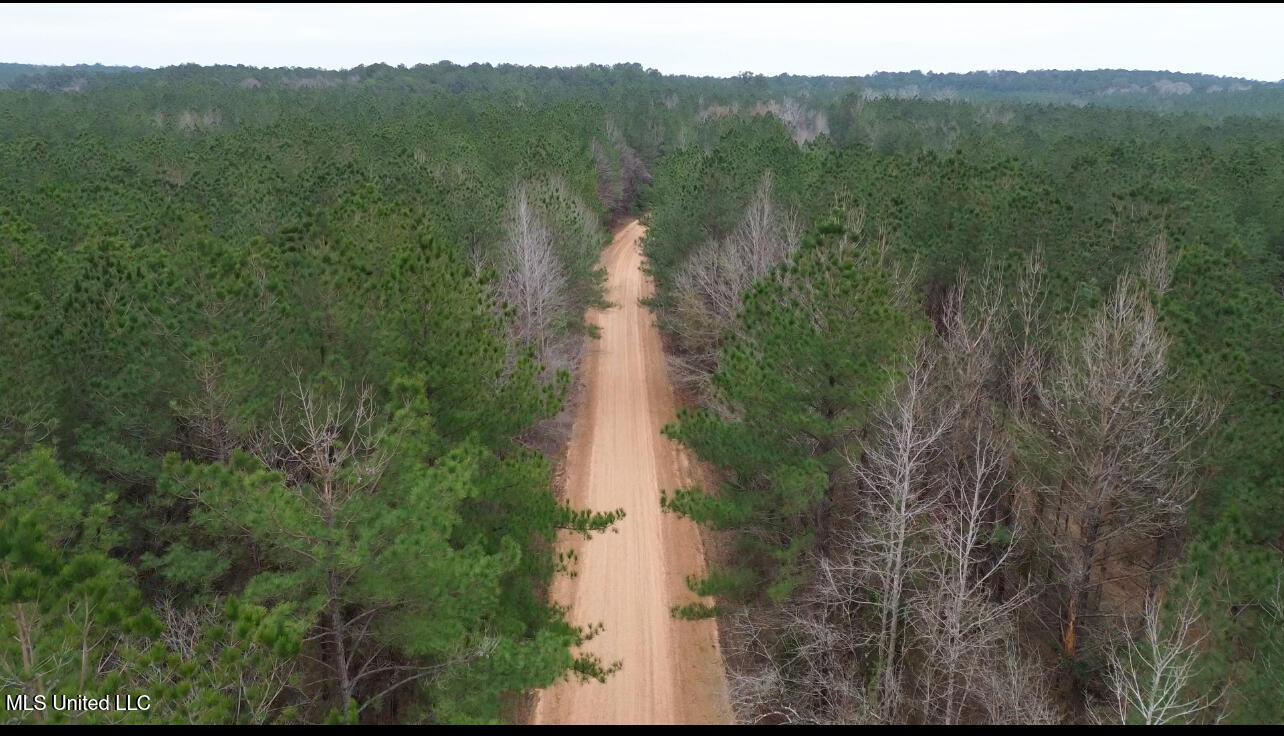 Mount Gilead Road Property Photo 1