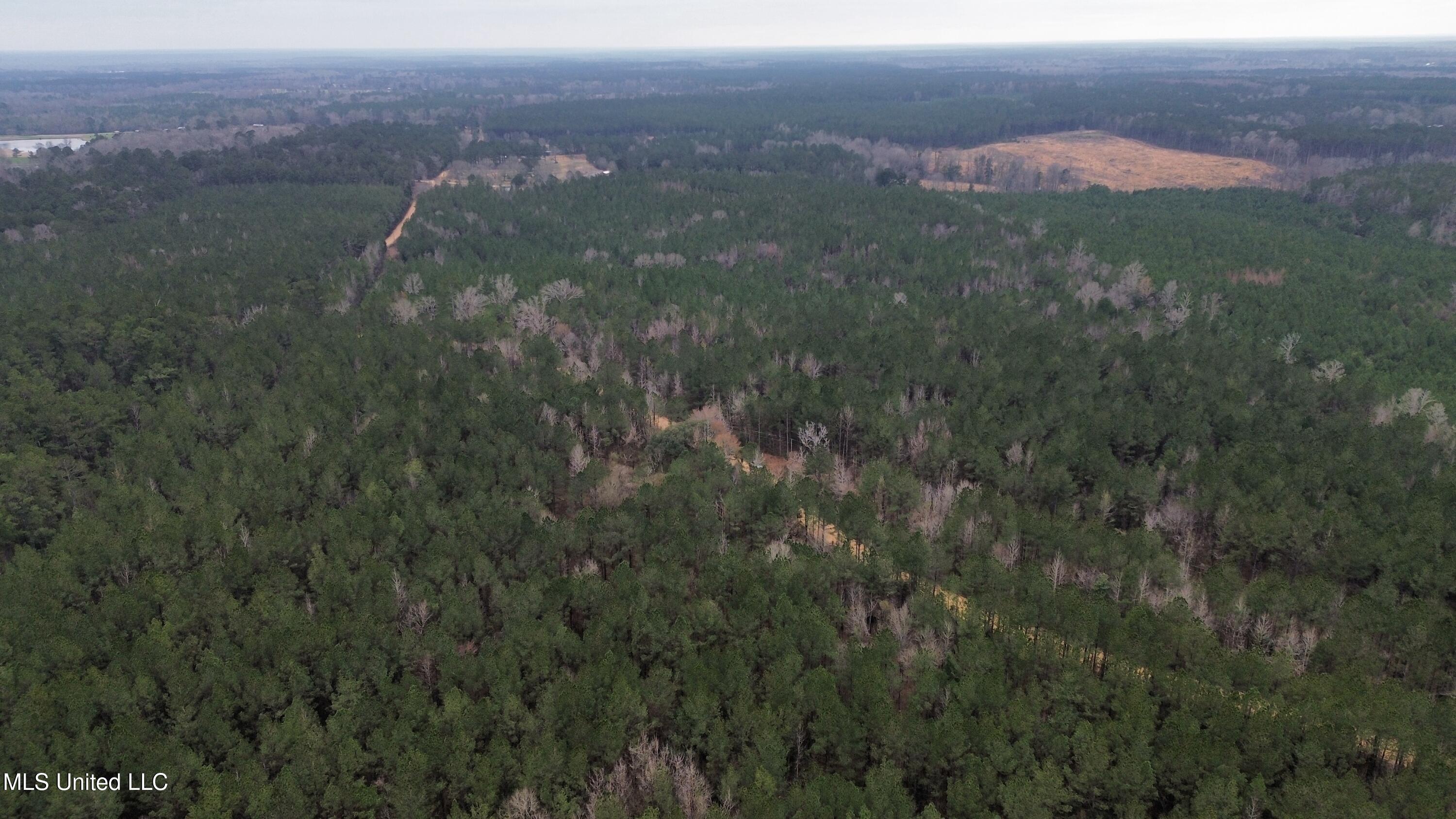 Mount Gilead Road Property Photo 2