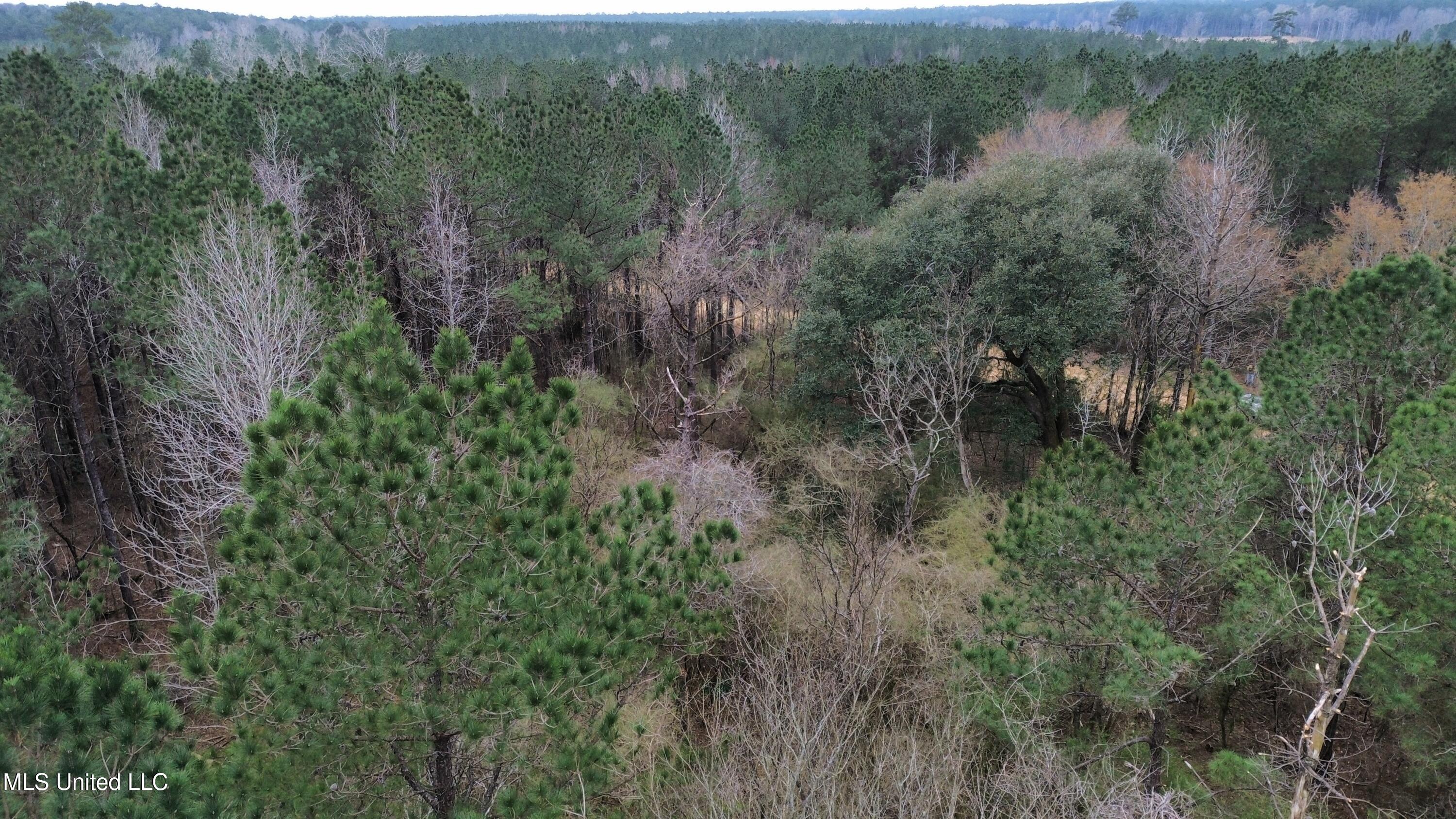 Mount Gilead Road Property Photo 3