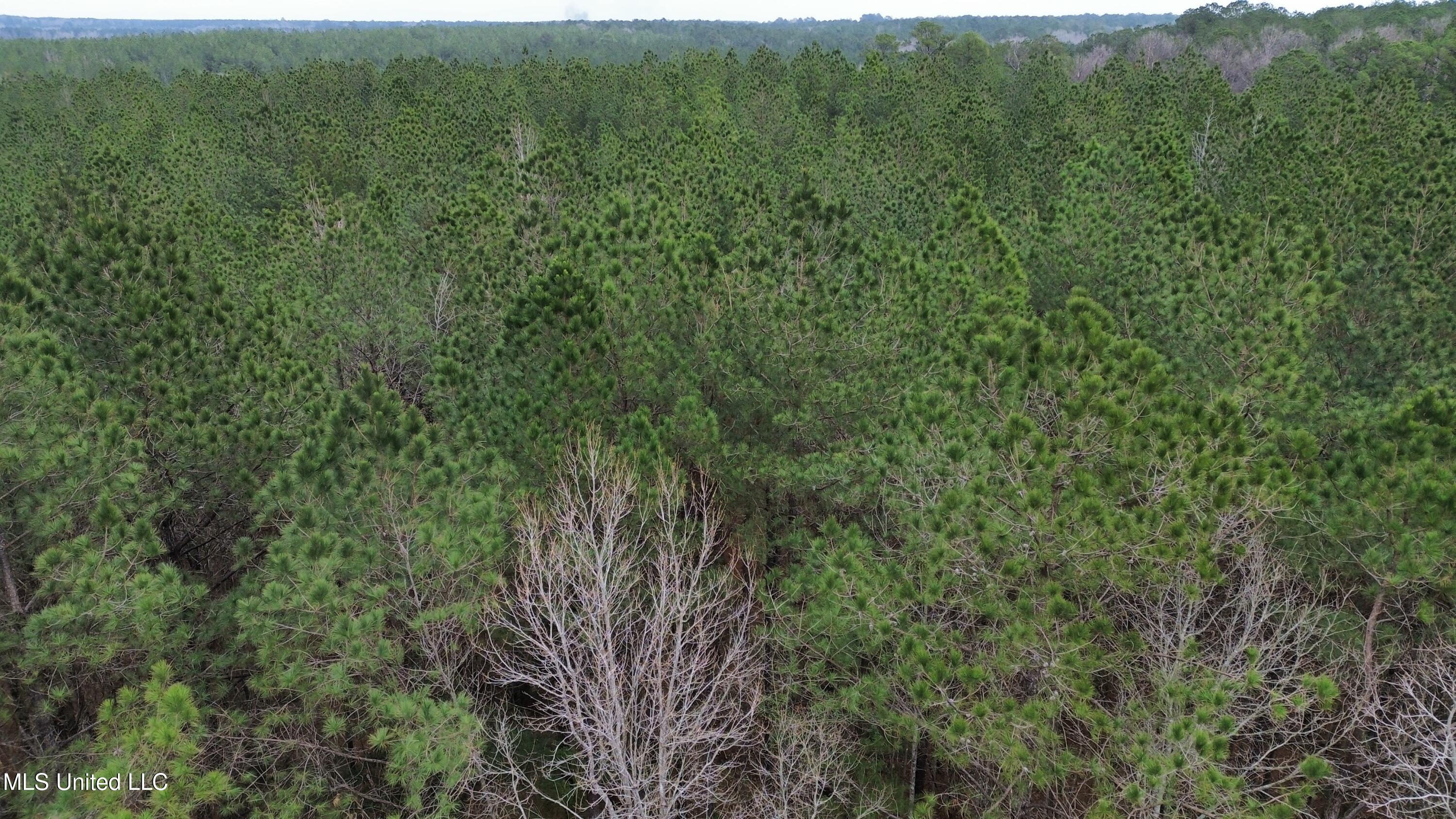 Mount Gilead Road Property Photo 4