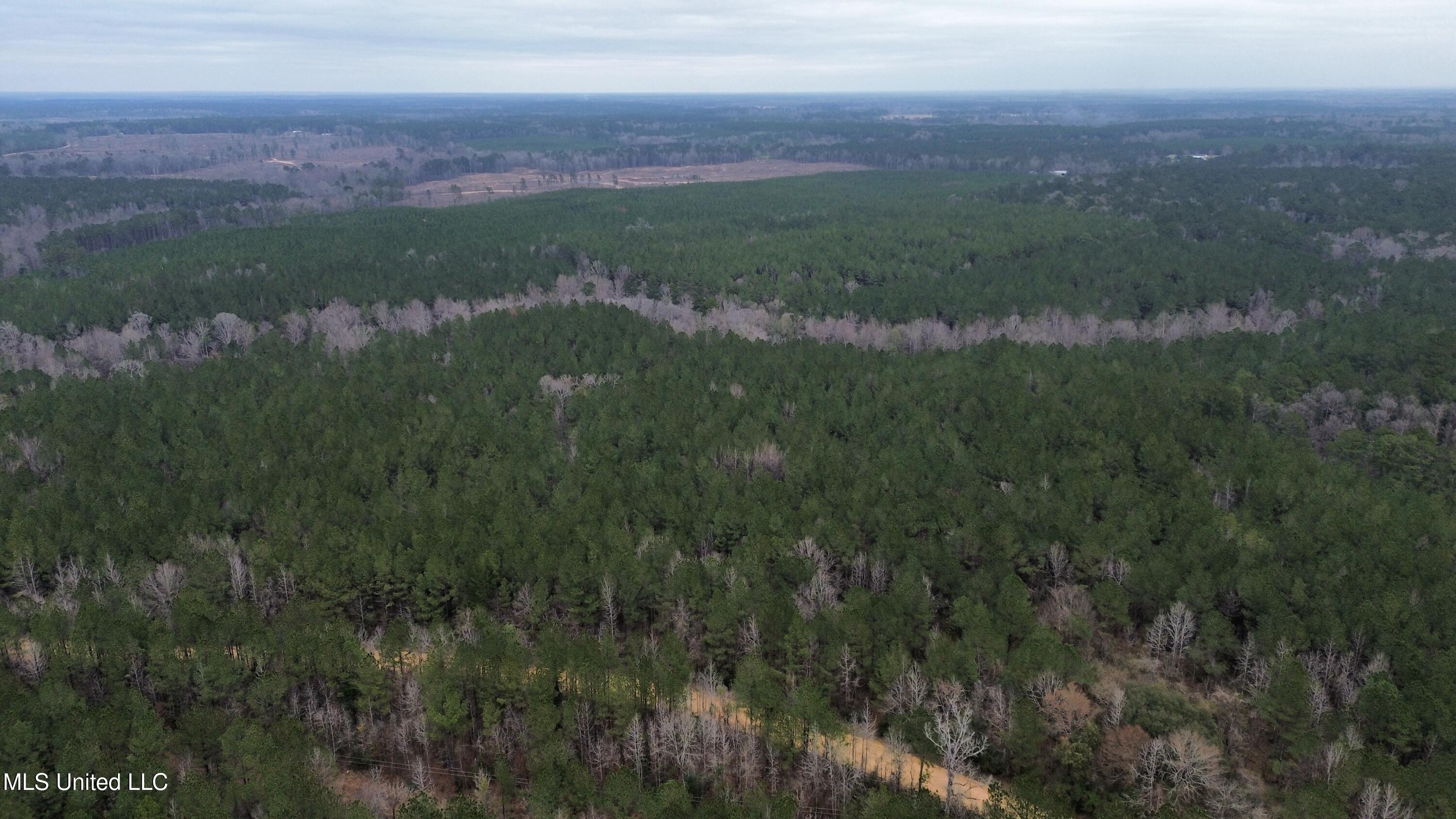 Mount Gilead Road Property Photo 5