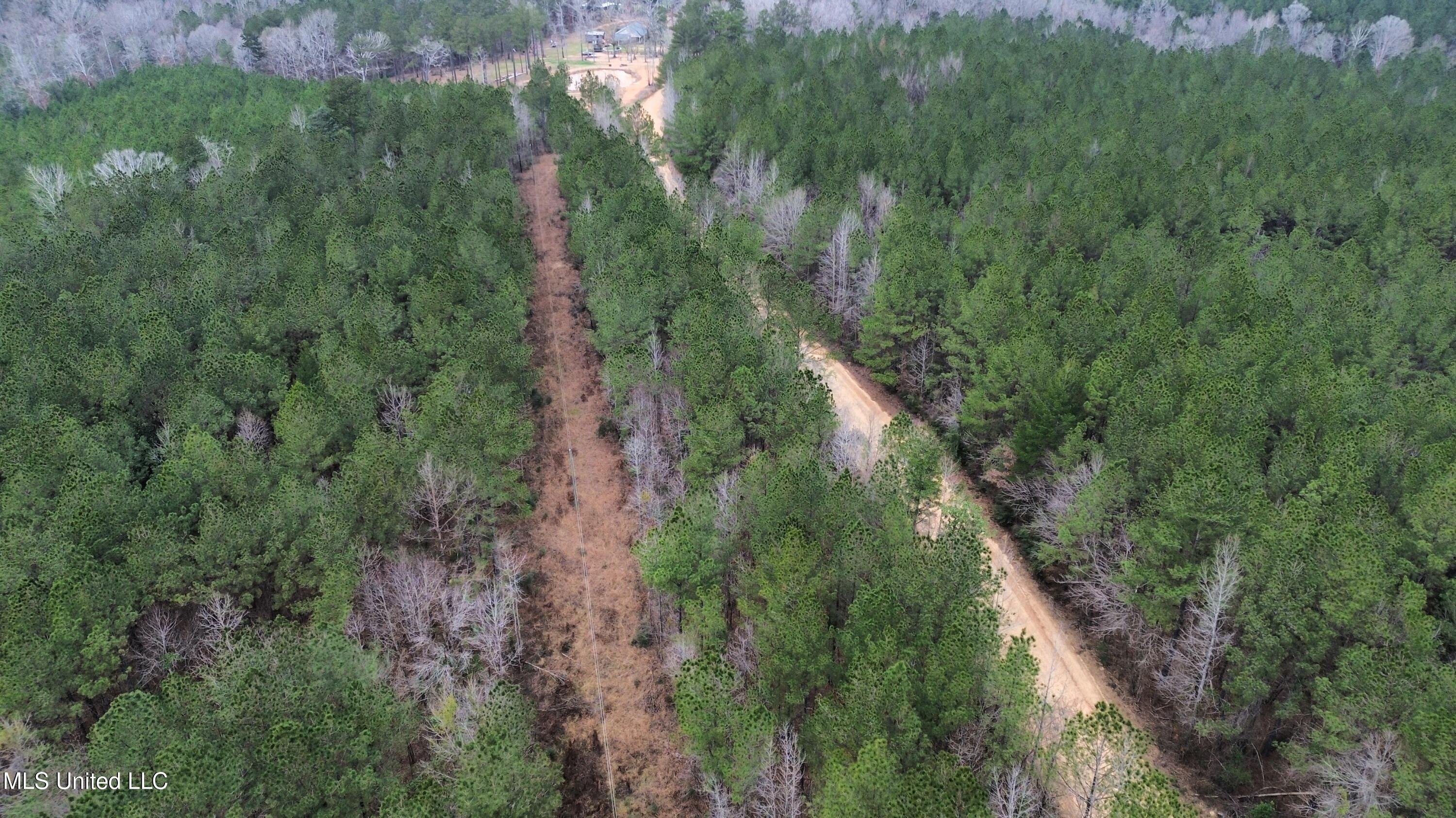 Mount Gilead Road Property Photo 6