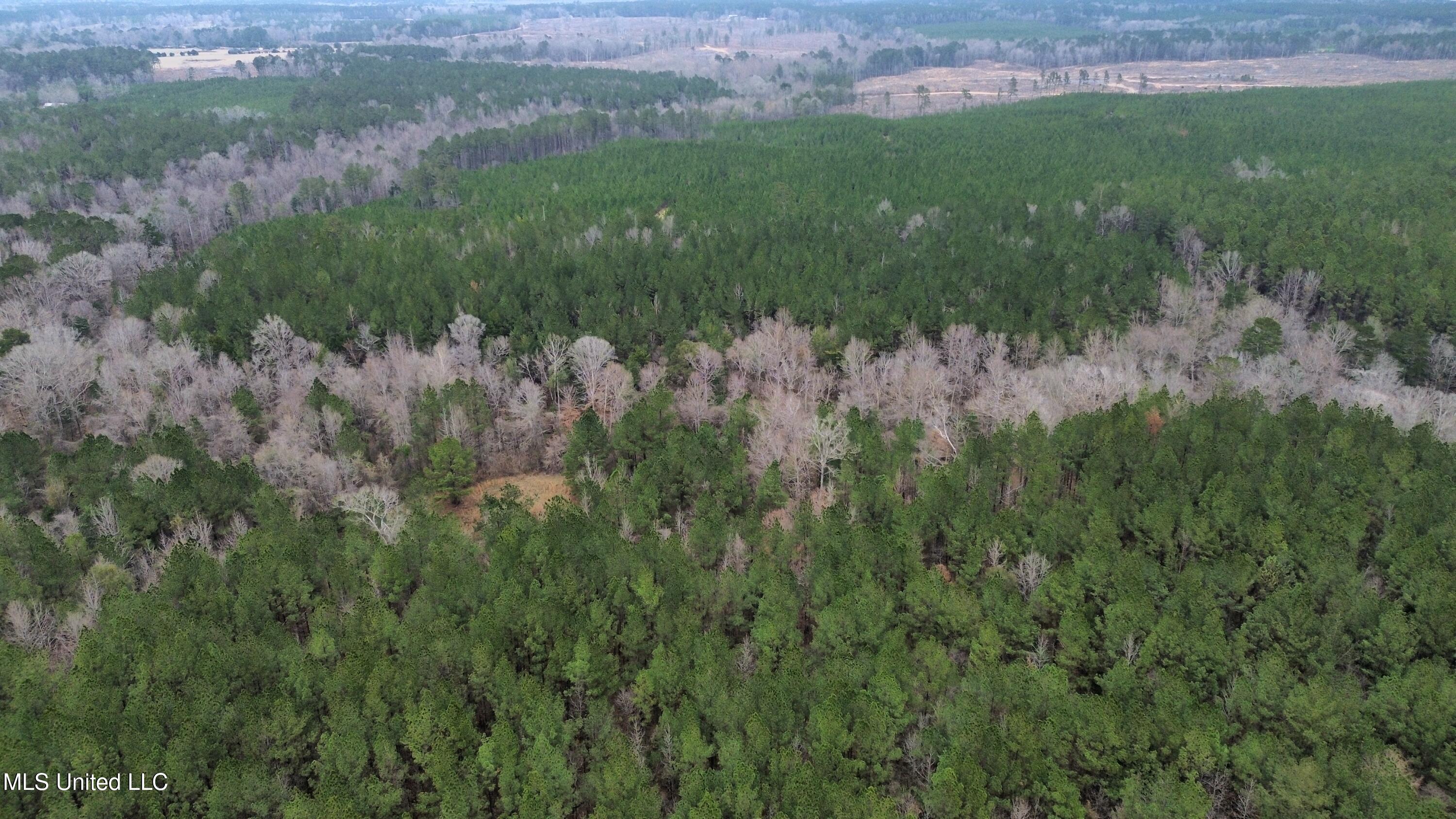 Mount Gilead Road Property Photo 8
