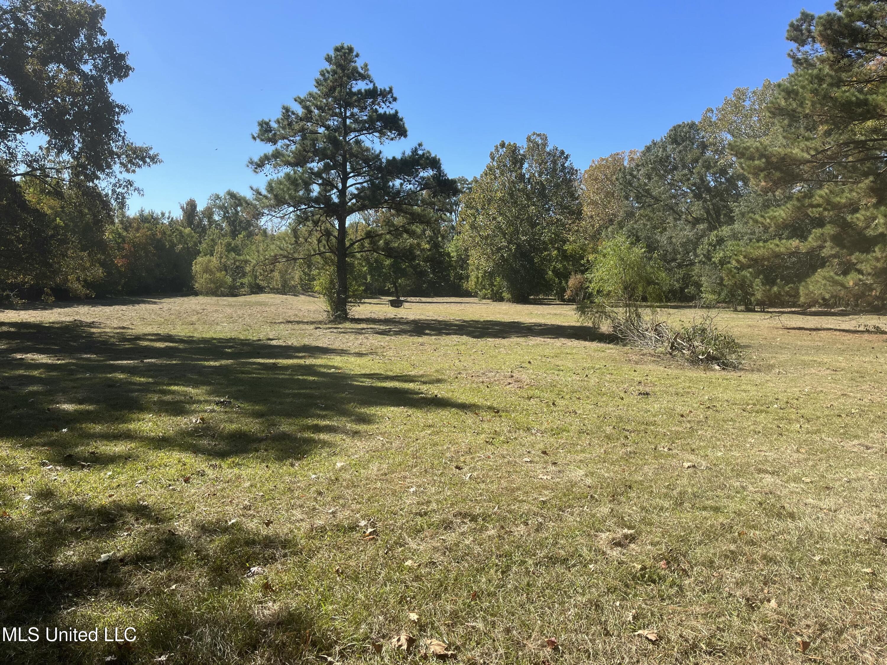 3816 Henderson Road Property Photo 8