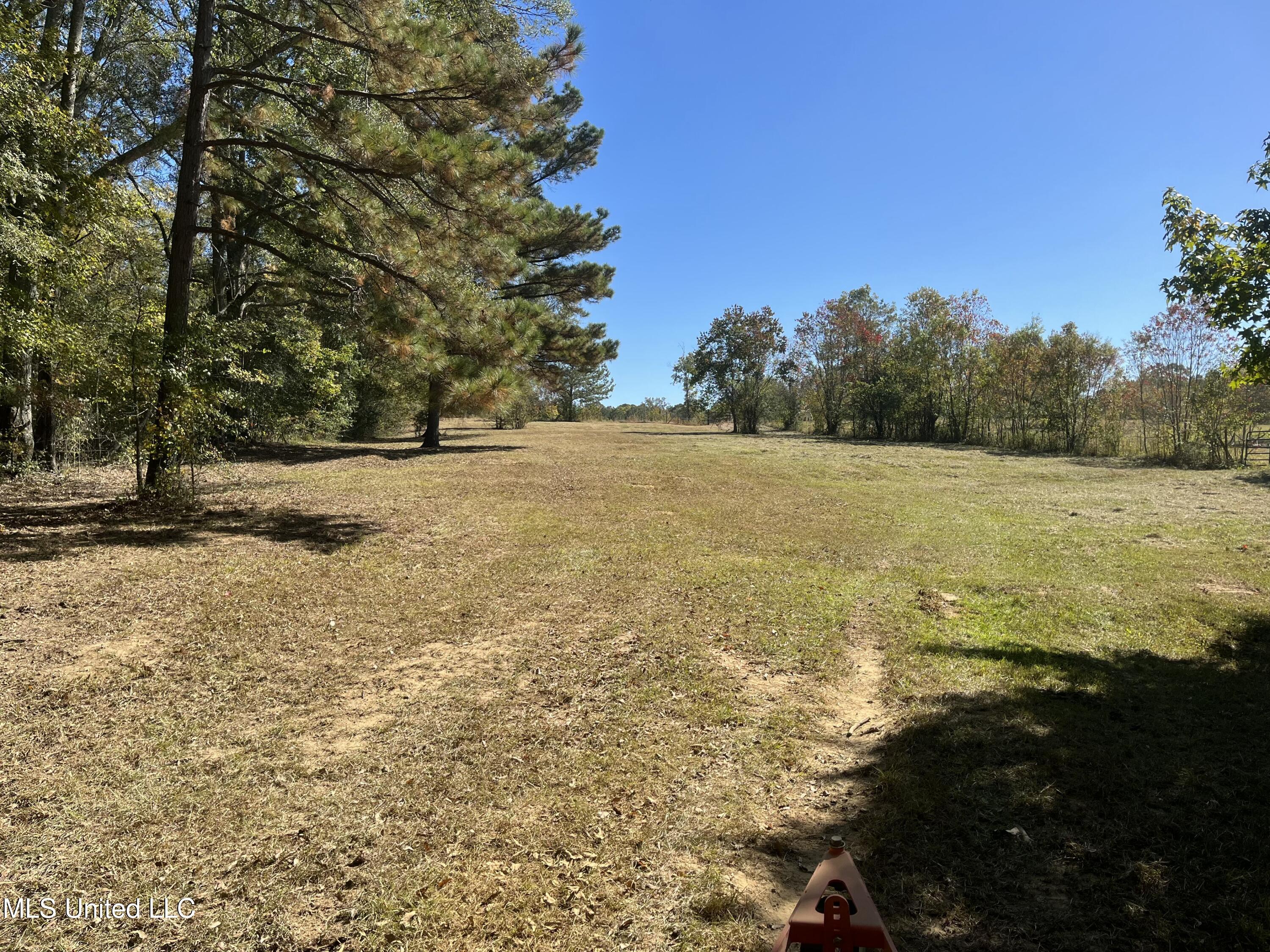 3816 Henderson Road Property Photo 9
