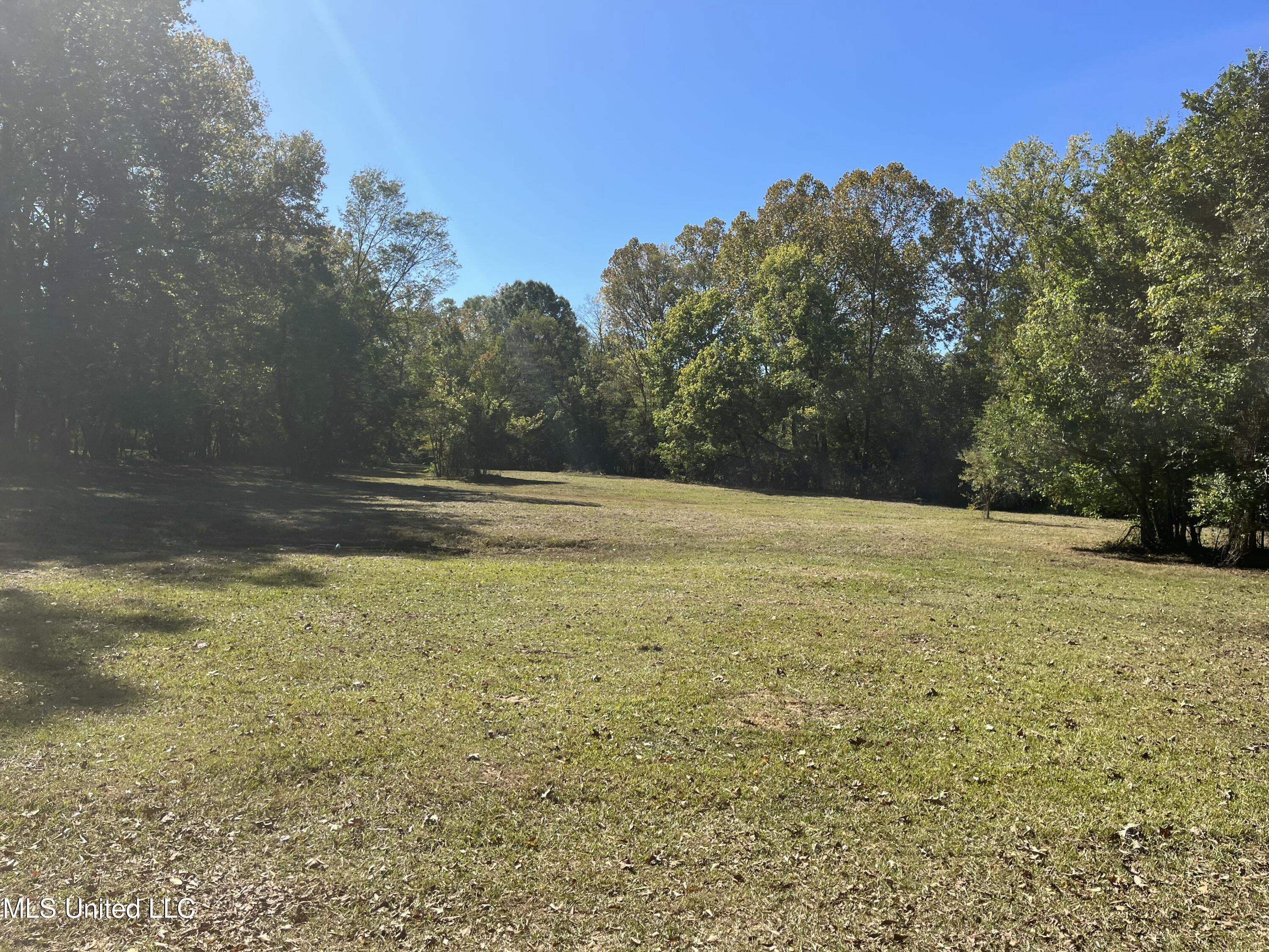 3816 Henderson Road Property Photo 11