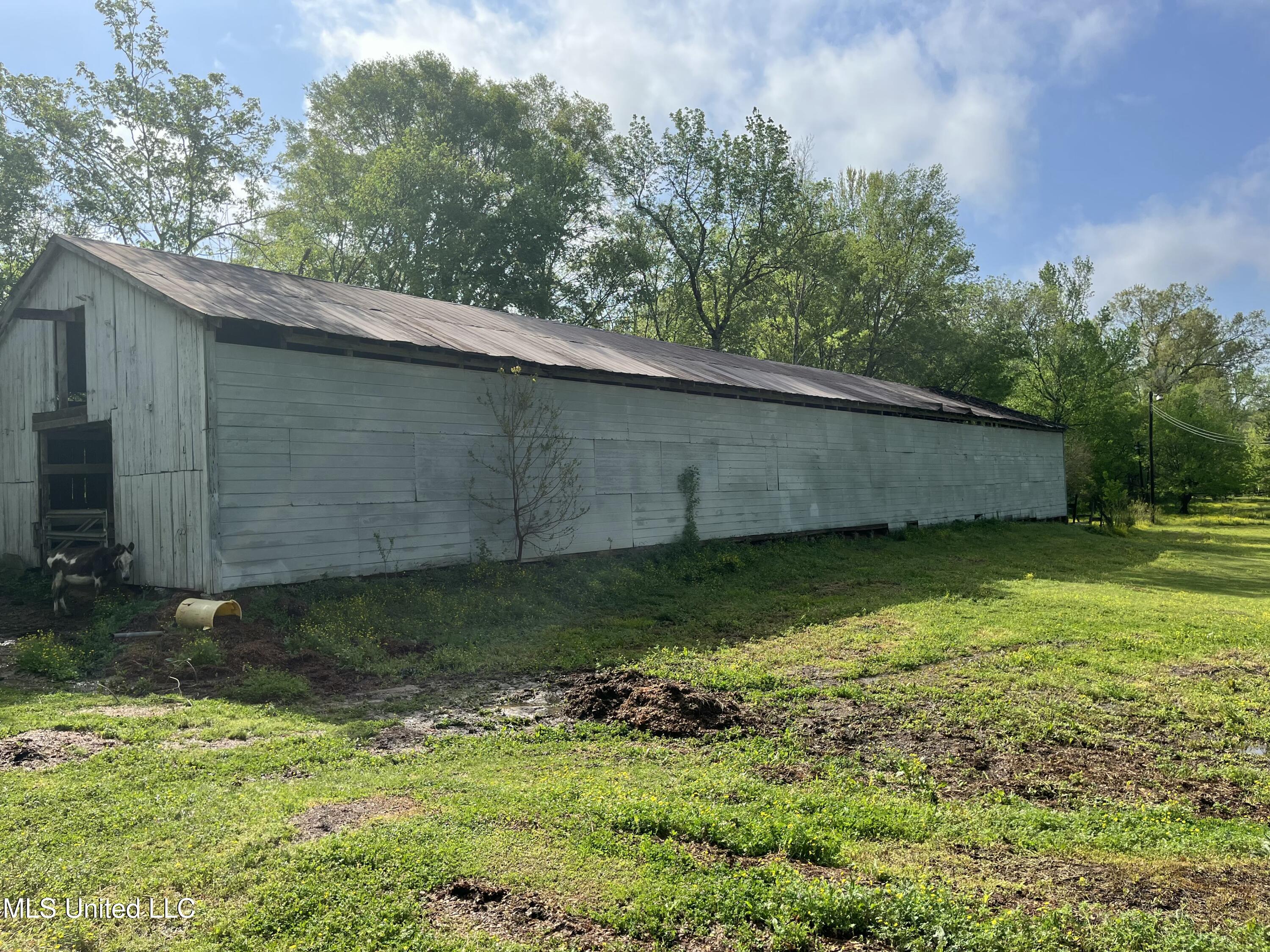 3816 Henderson Road Property Photo 12