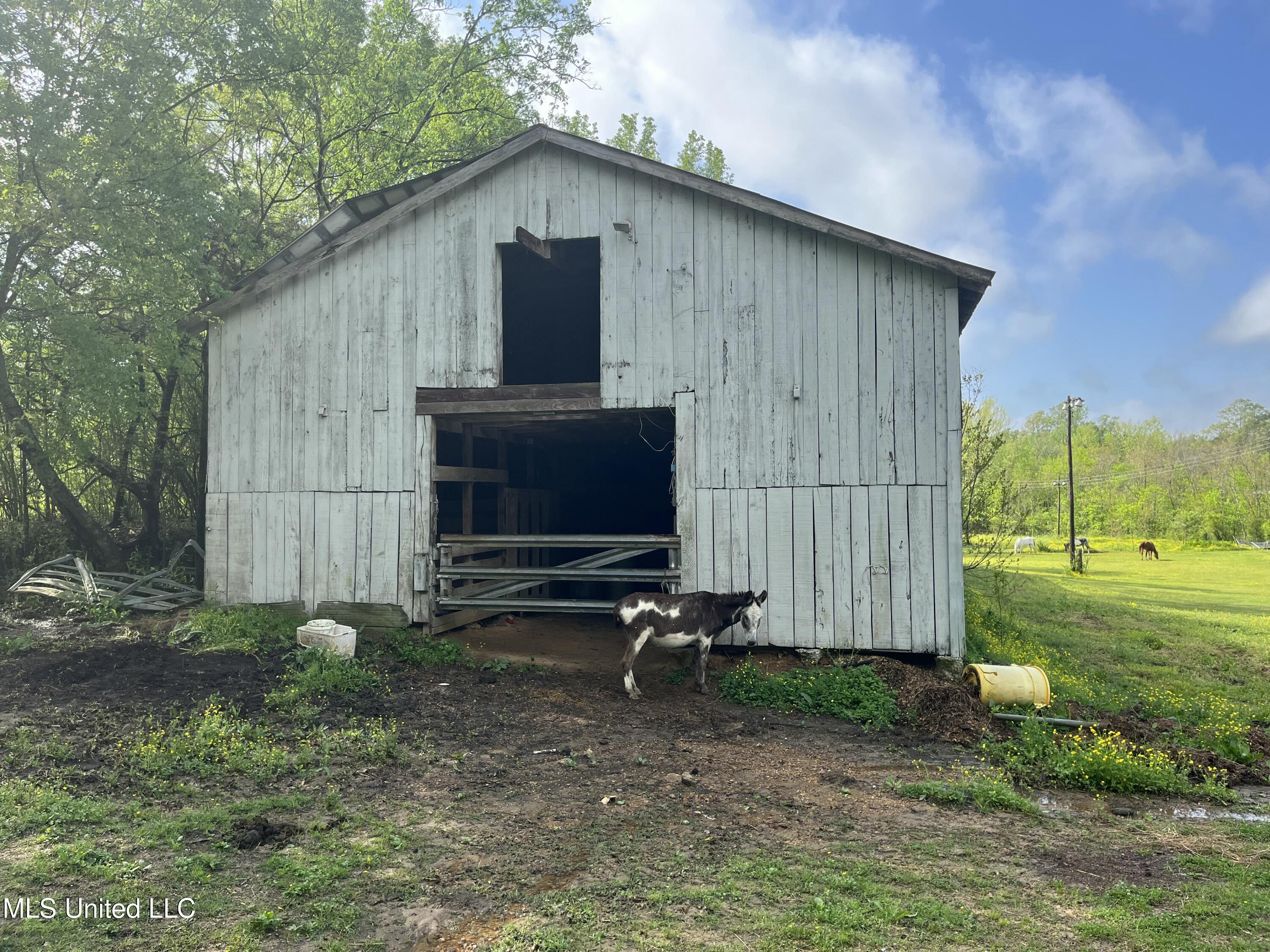 3816 Henderson Road Property Photo 15