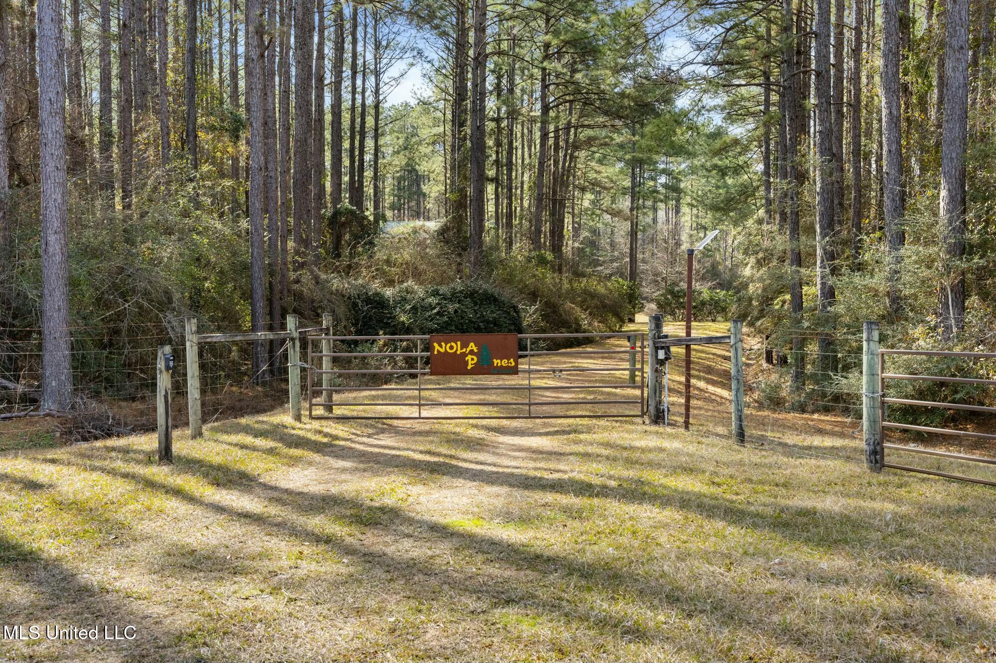 3181 Centerville Road Property Photo 2