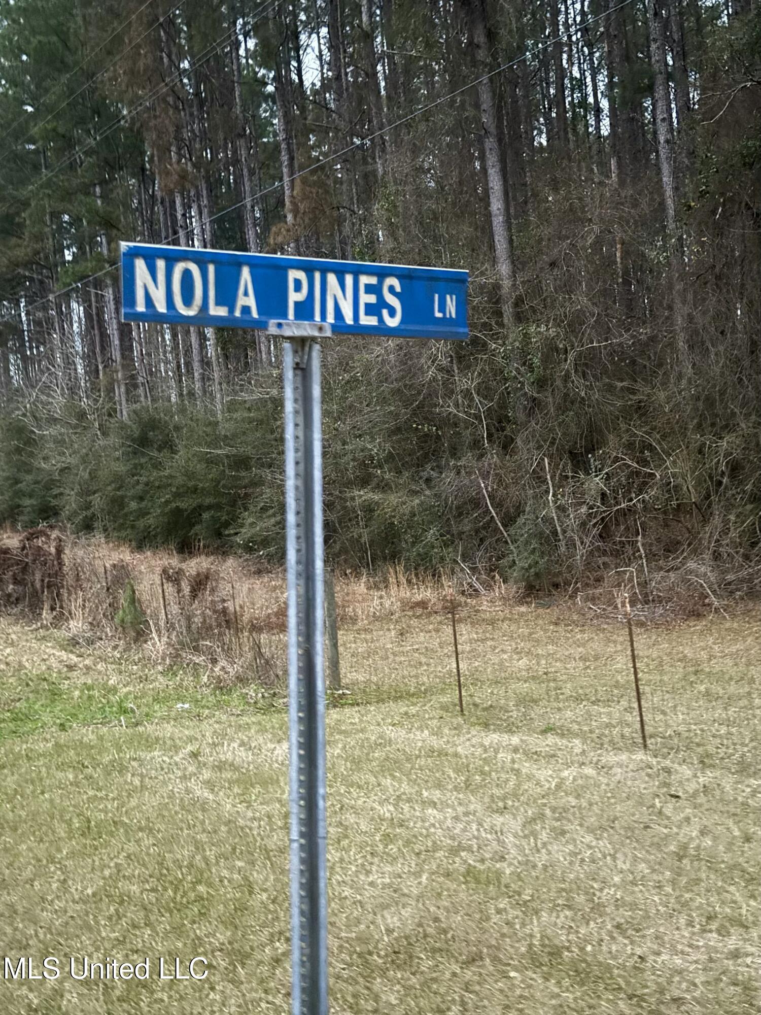 3181 Centerville Road Property Photo 5