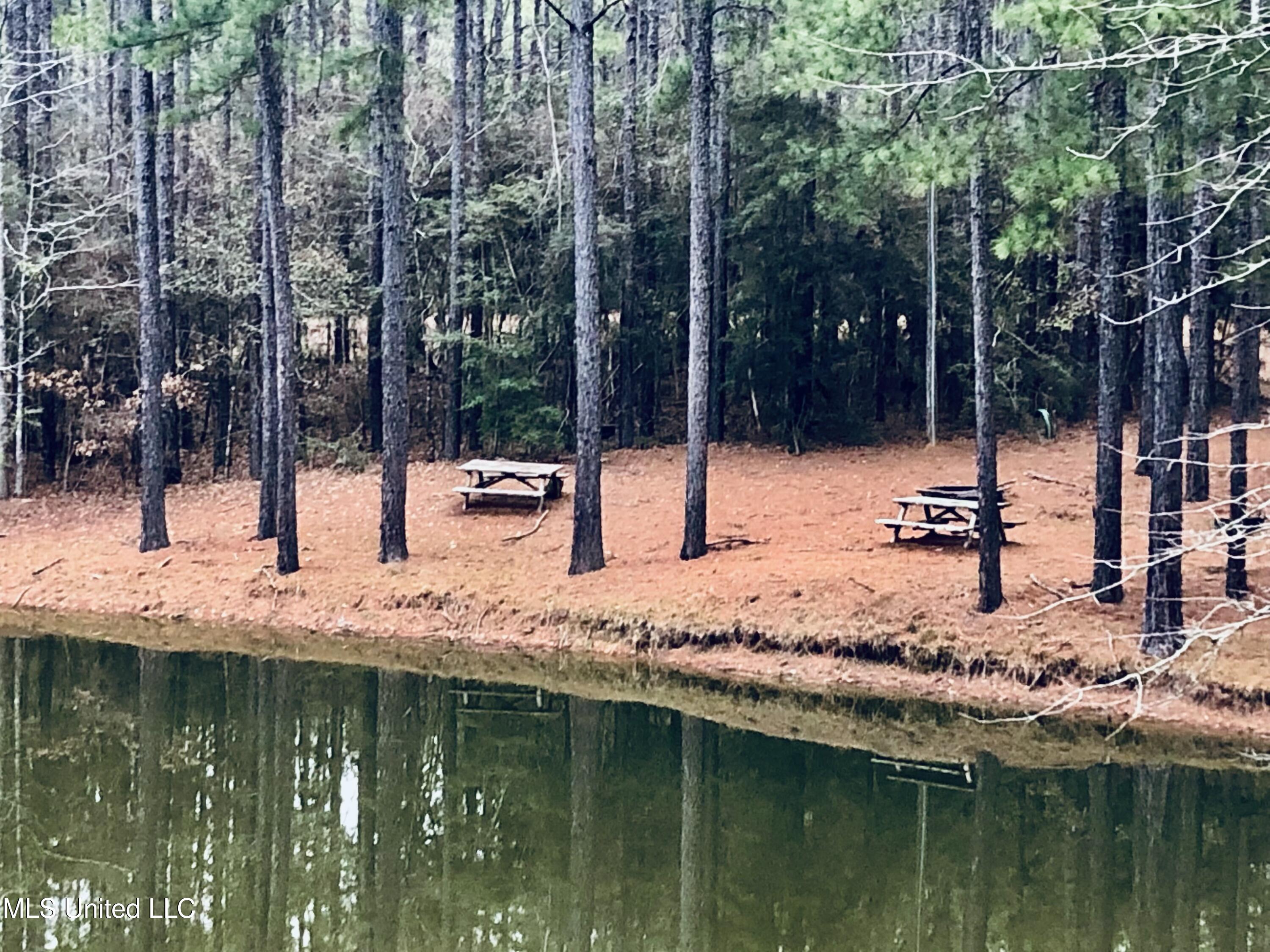 3181 Centerville Road Property Photo 45