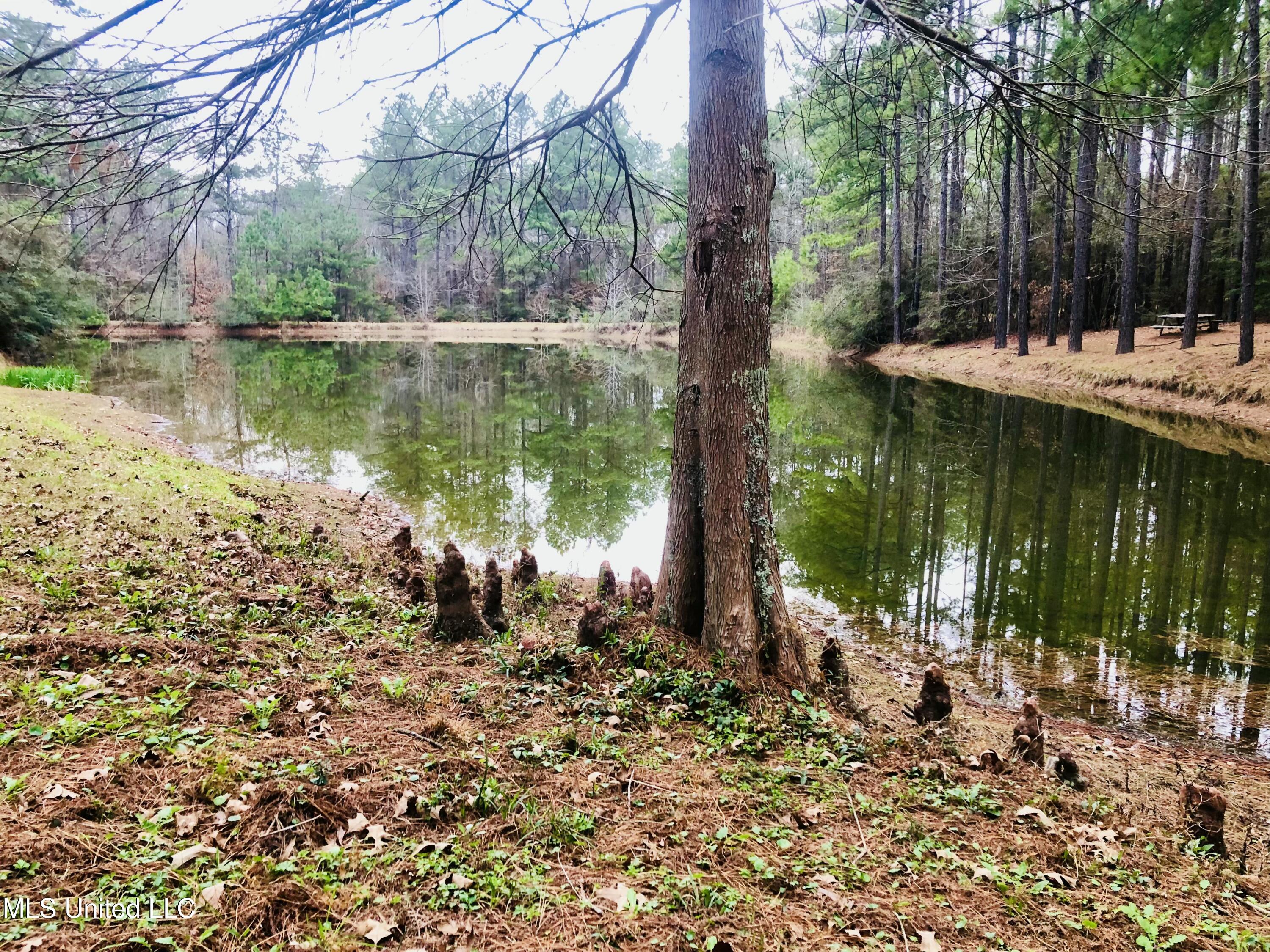 3181 Centerville Road Property Photo 53