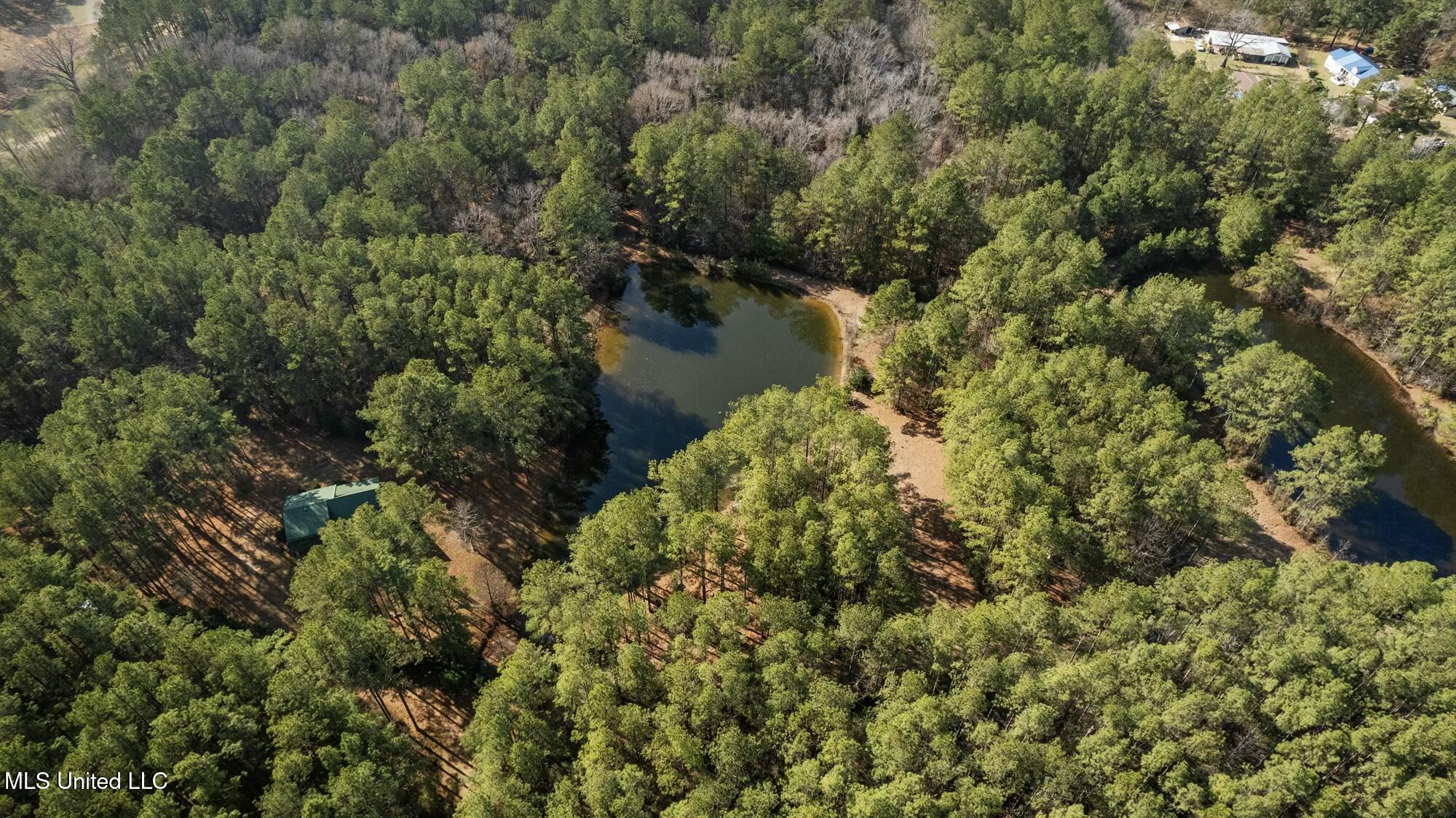 3181 Centerville Road Property Photo 54