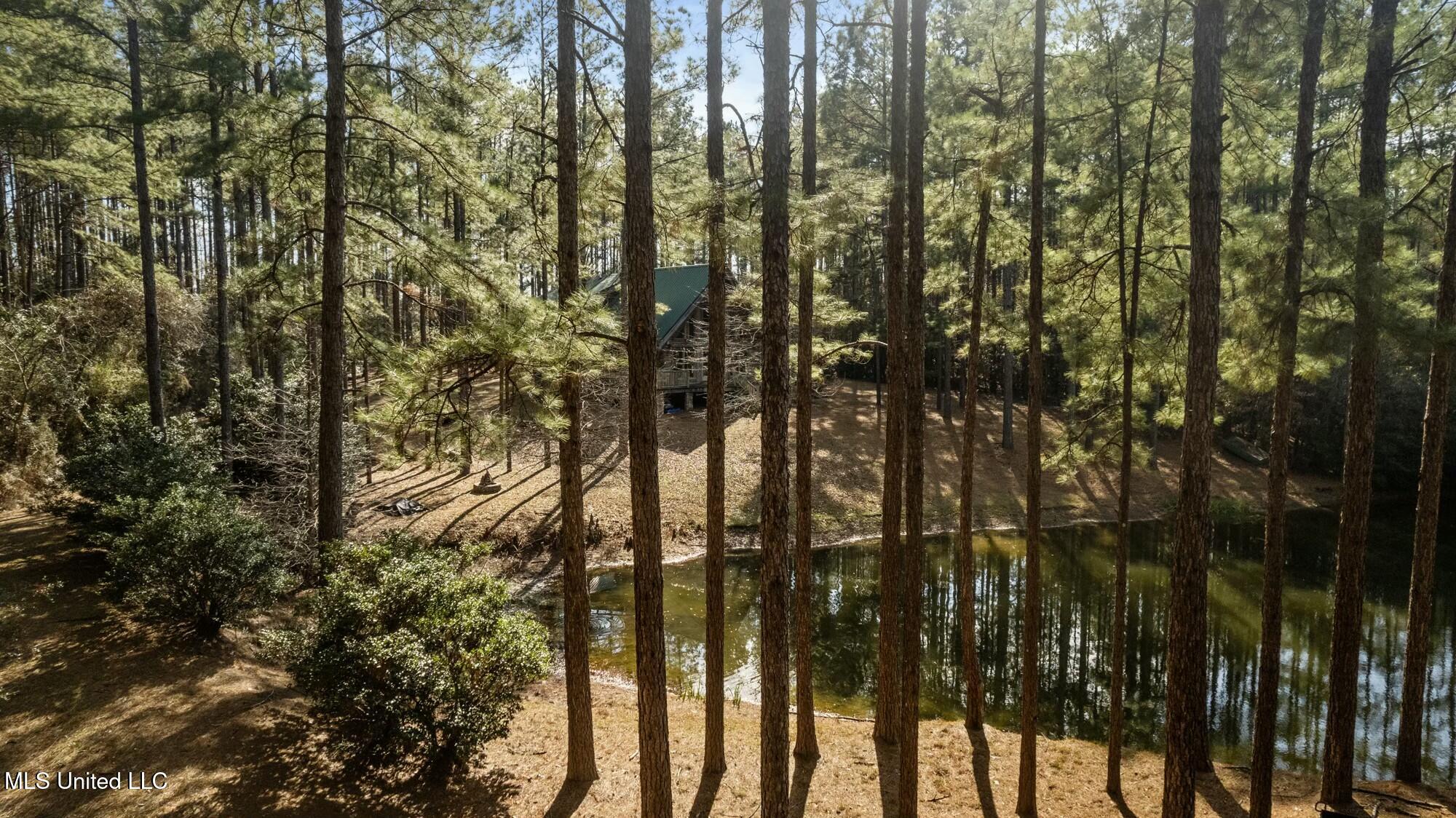 3181 Centerville Road Property Photo 56