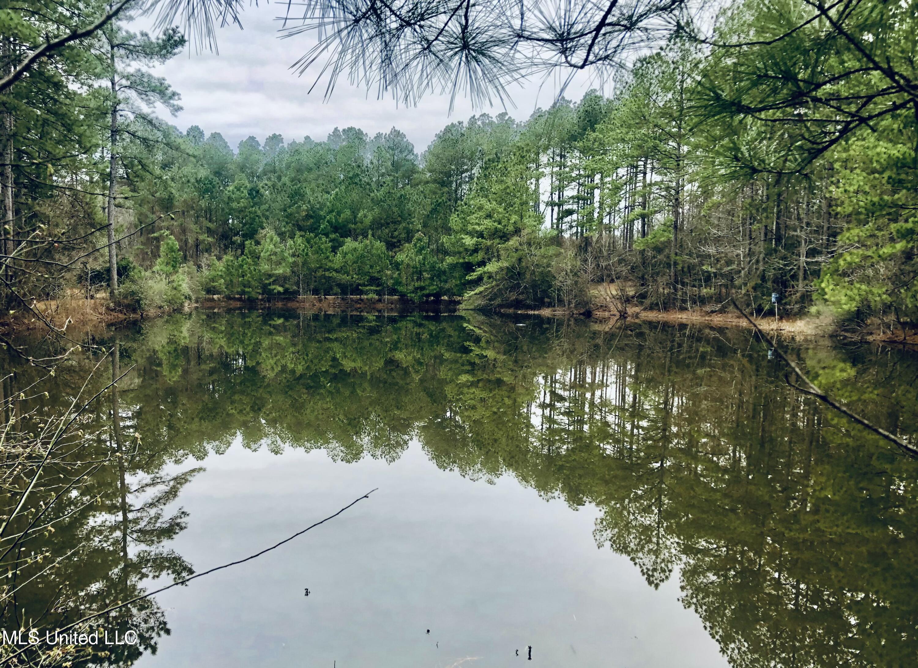 3181 Centerville Road Property Photo 57