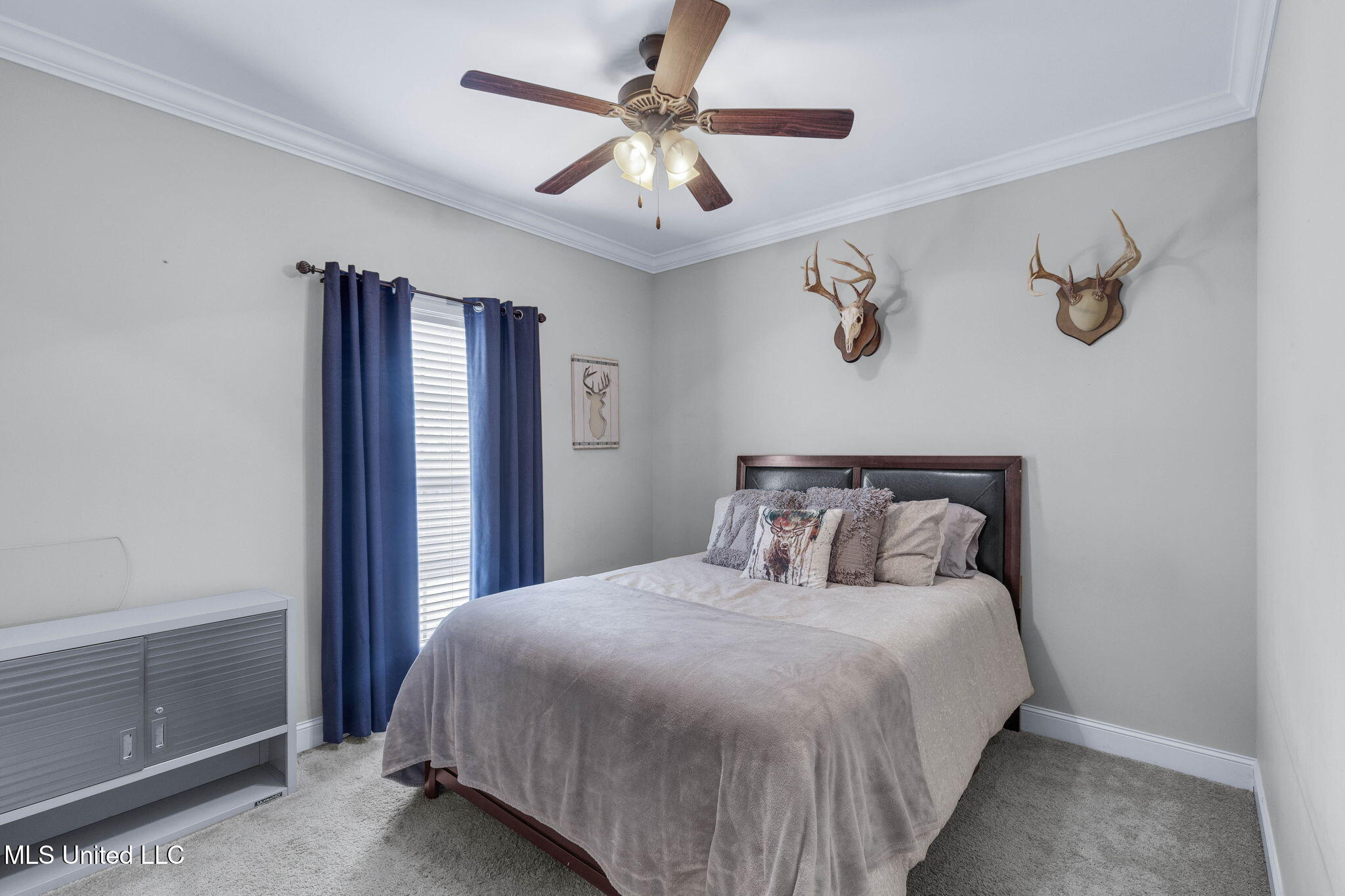 147 Hampton Hills Boulevard Property Photo 34