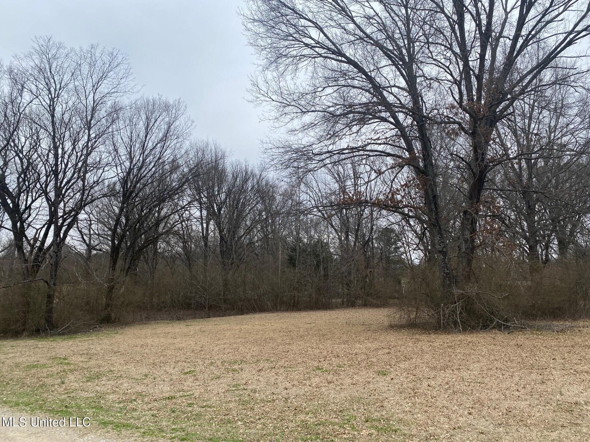 2648 Sycamore Road Property Photo 35