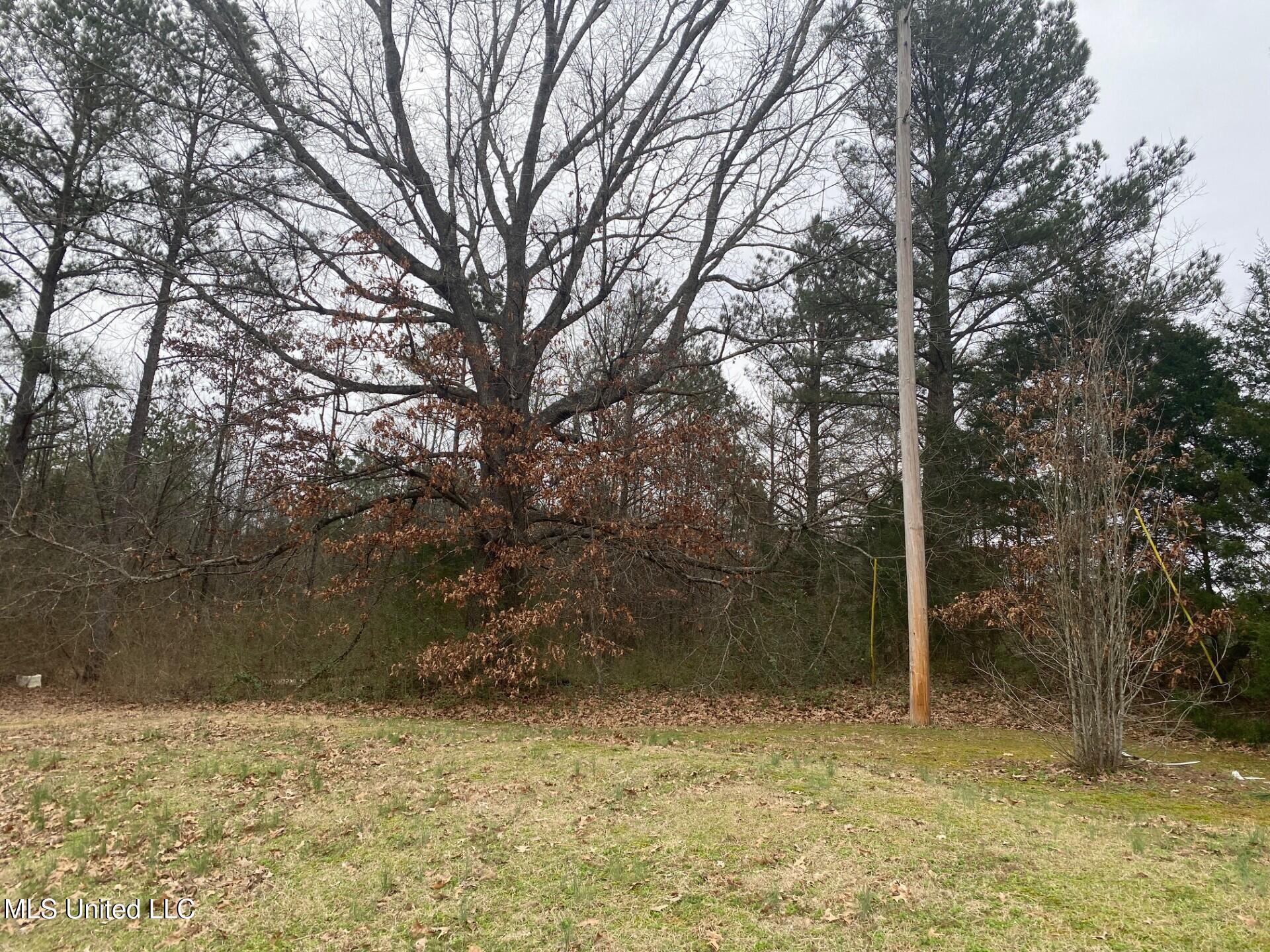 2648 Sycamore Road Property Photo 37