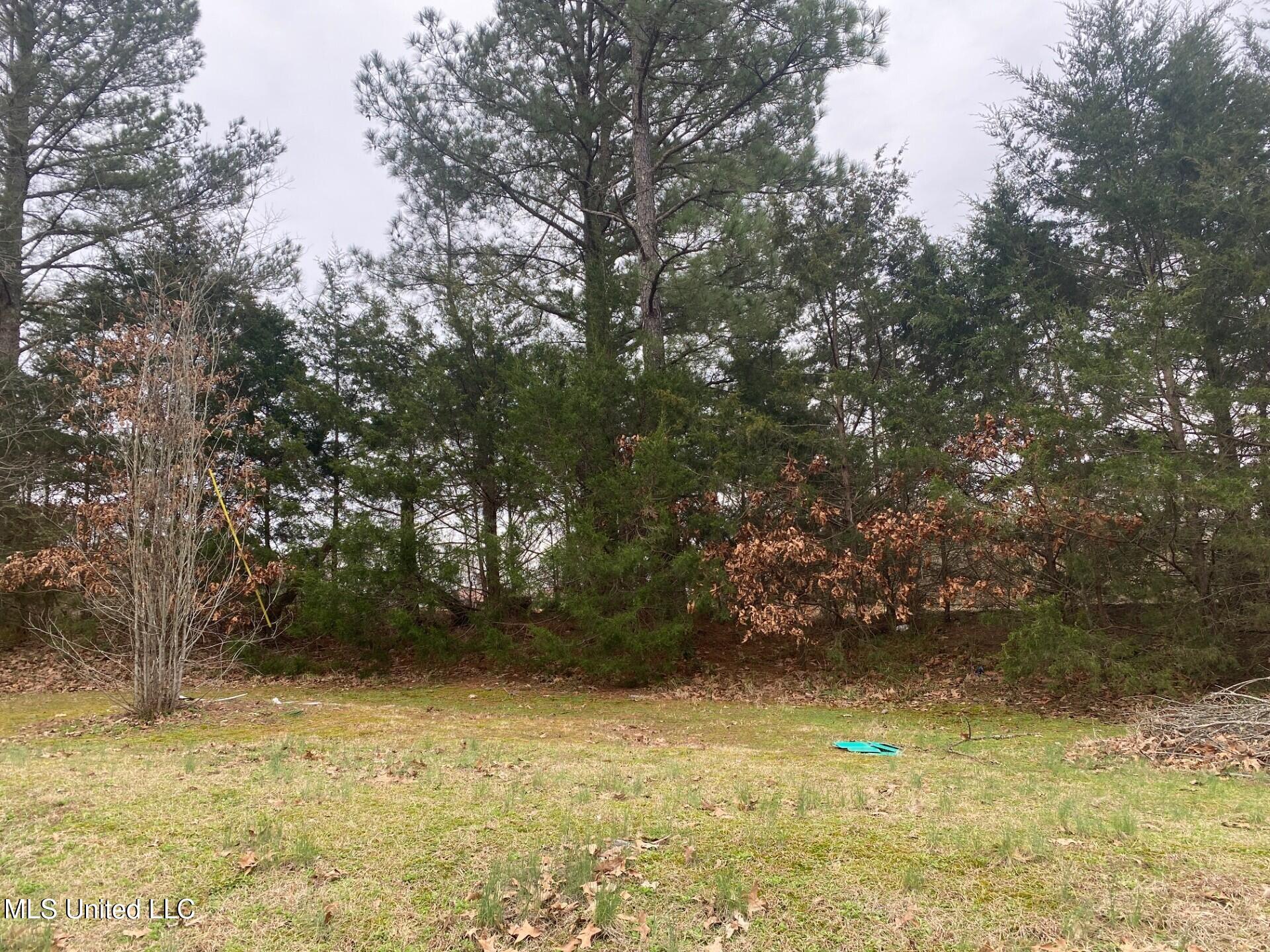 2648 Sycamore Road Property Photo 38