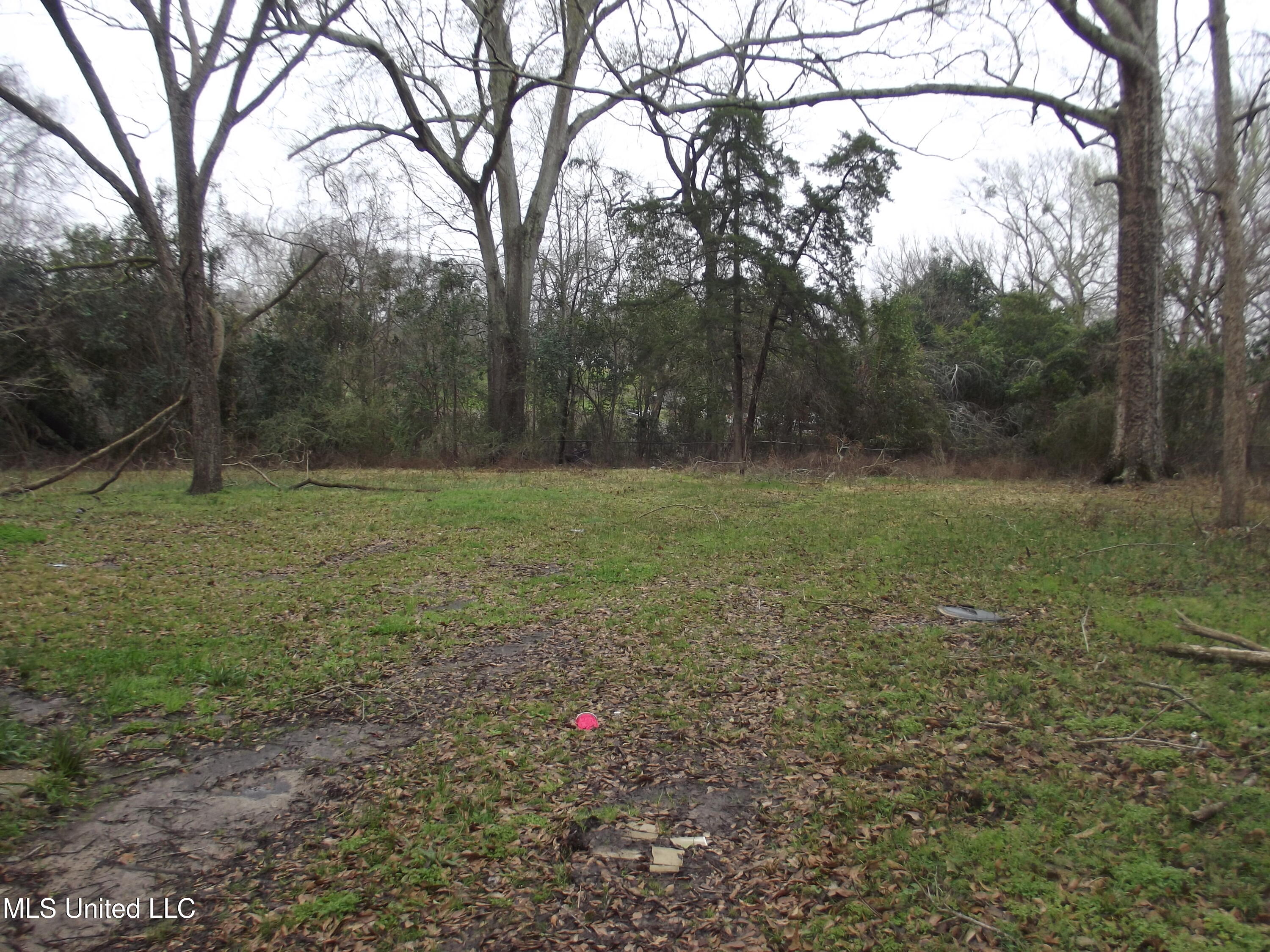 132 Mt Carmel Drive Property Photo 7