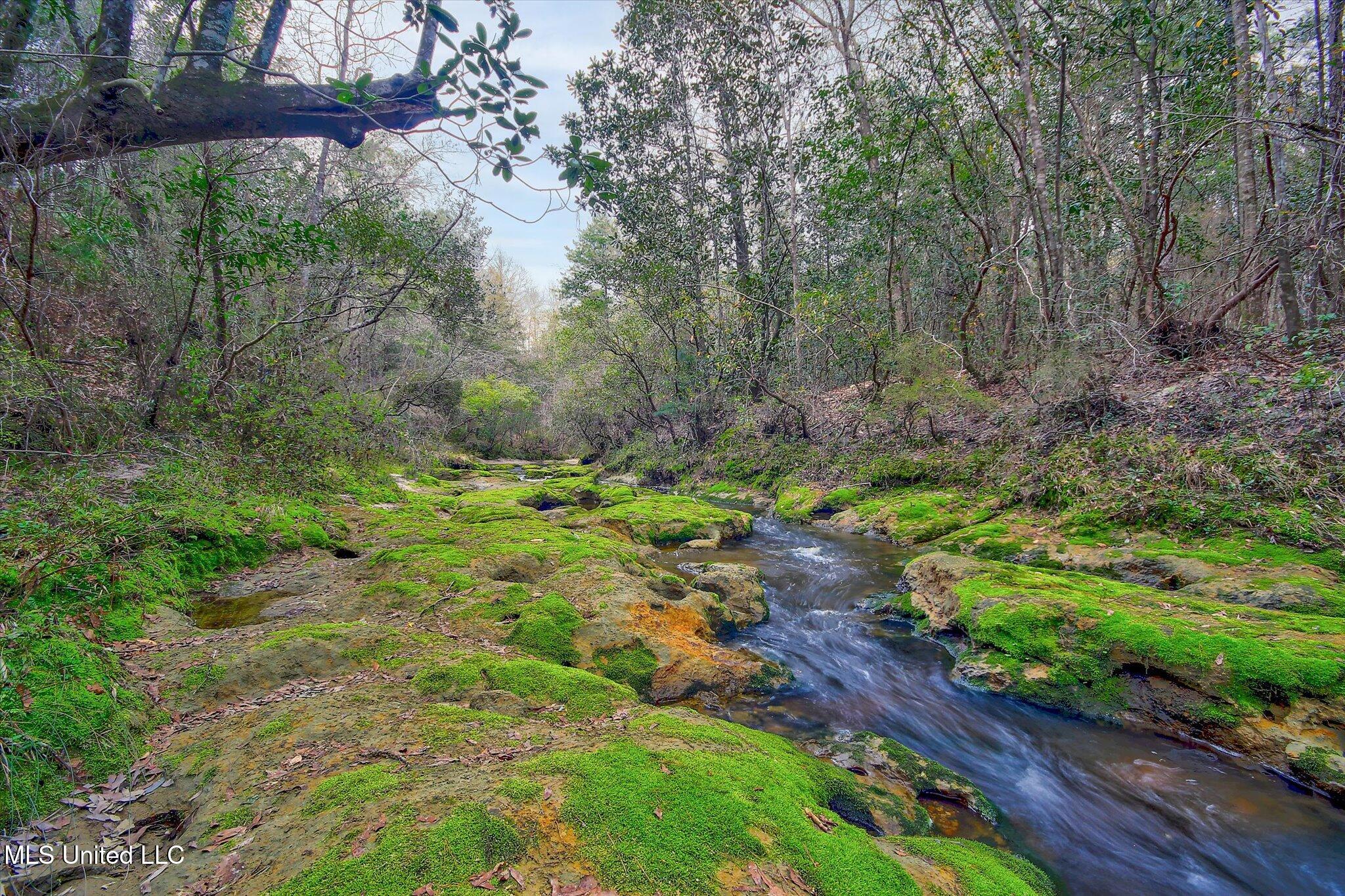 22445 Road 374 Property Photo 4