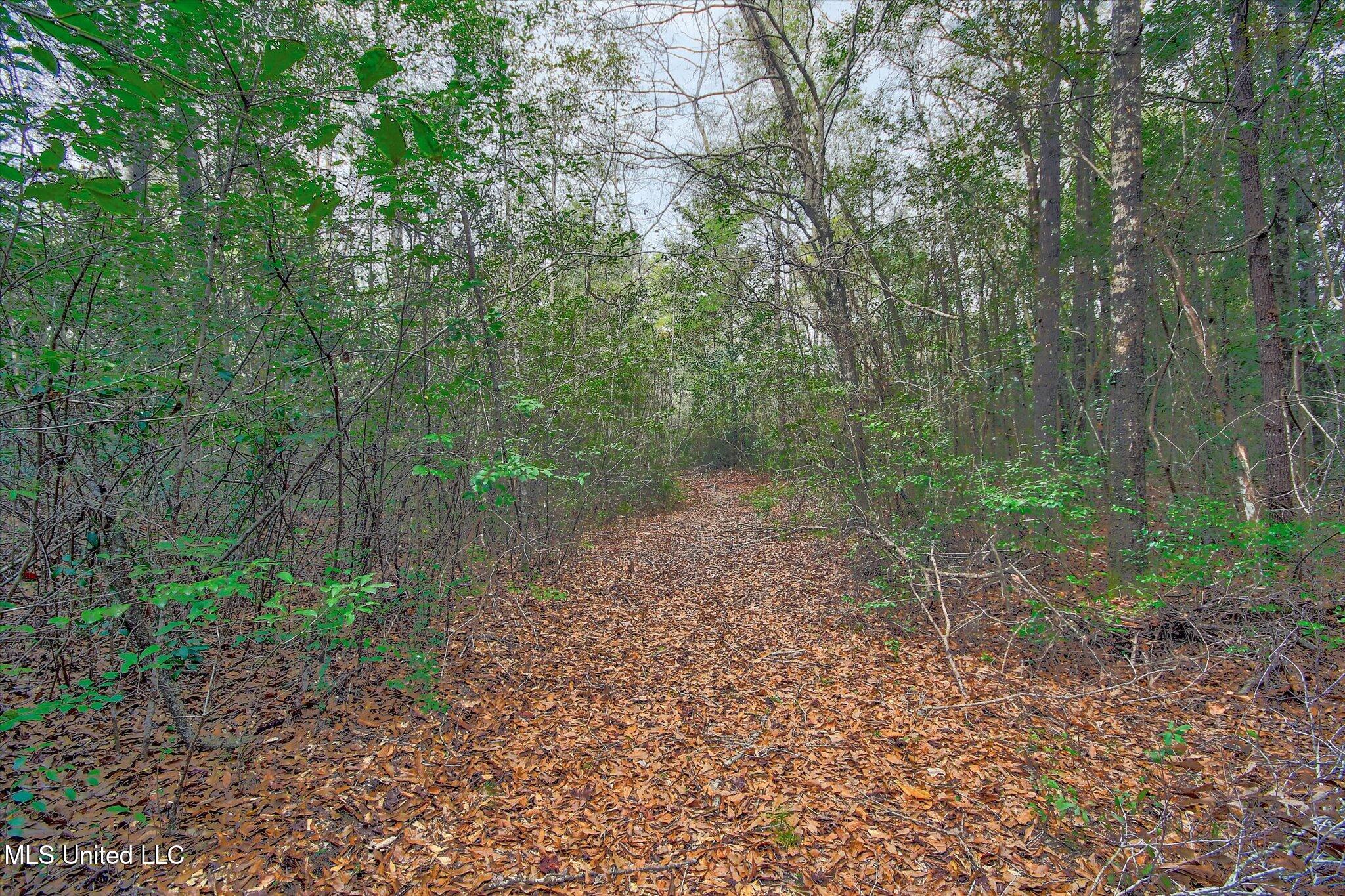 22445 Road 374 Property Photo 6