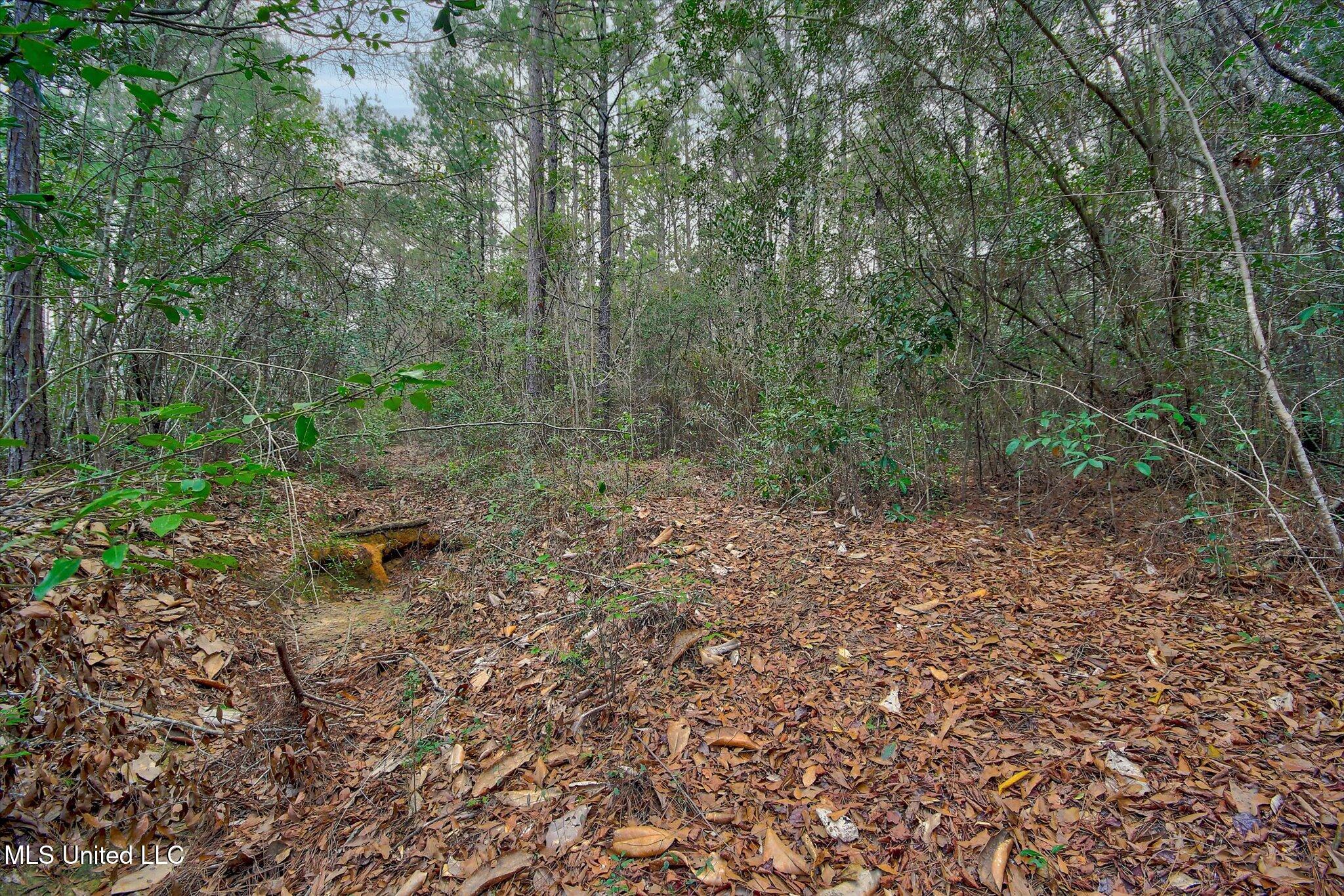 22445 Road 374 Property Photo 7