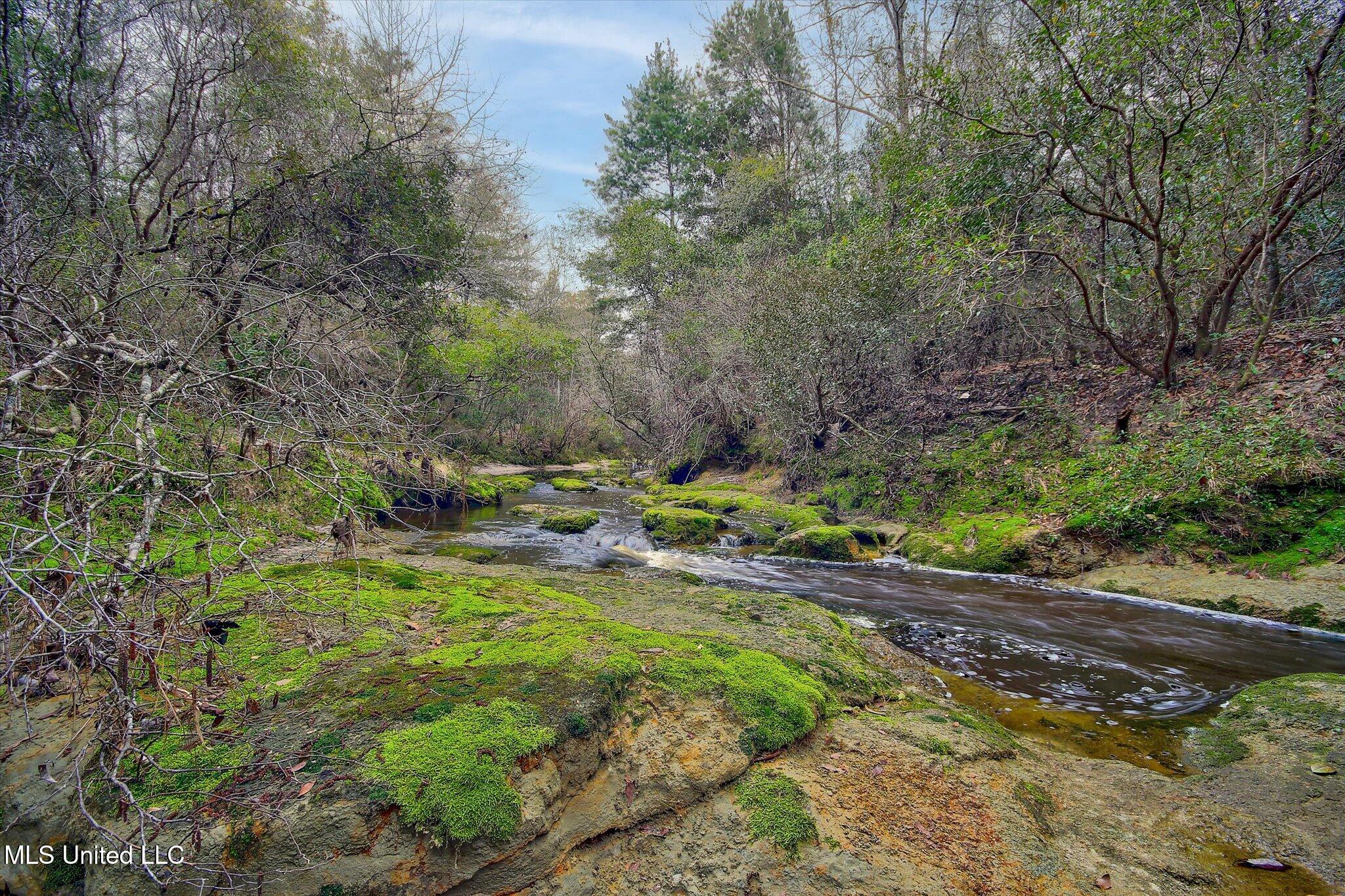 22445 Road 374 Property Photo 9