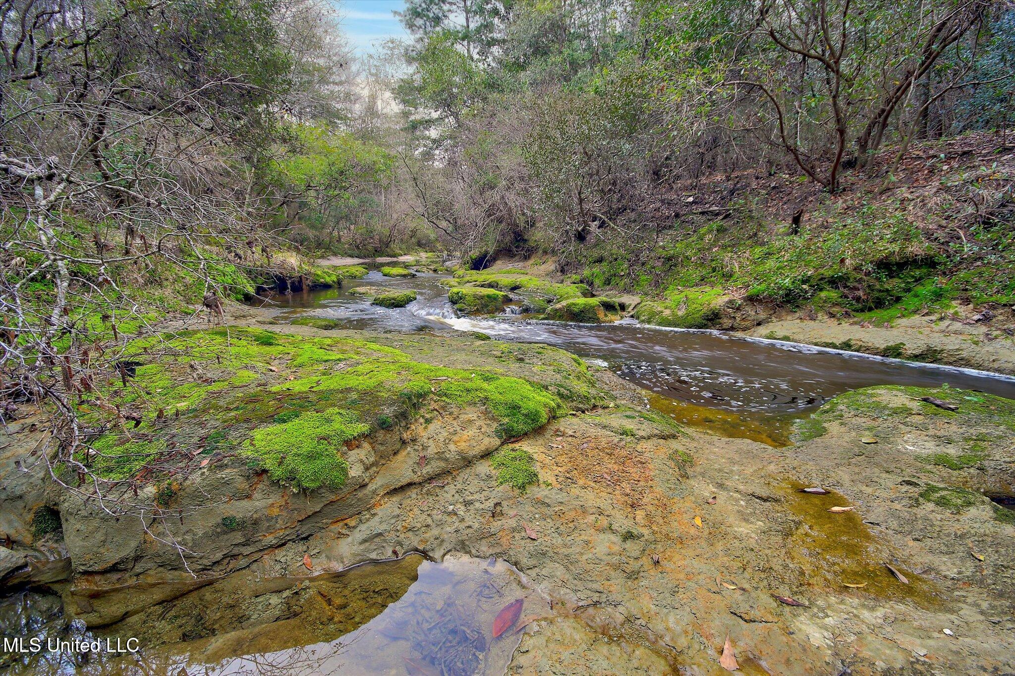 22445 Road 374 Property Photo 17
