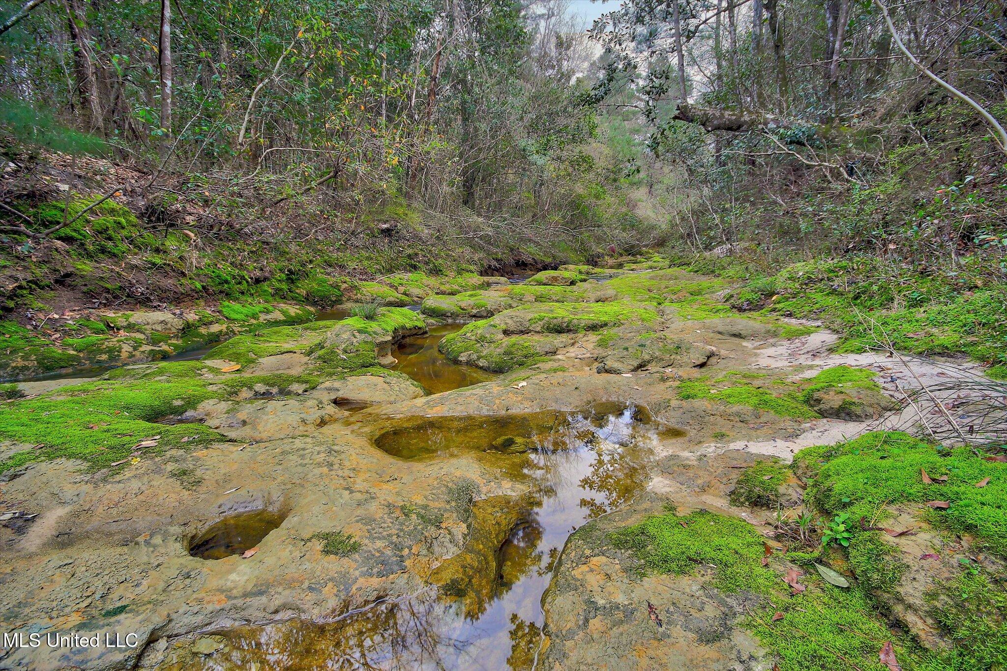 22445 Road 374 Property Photo 19