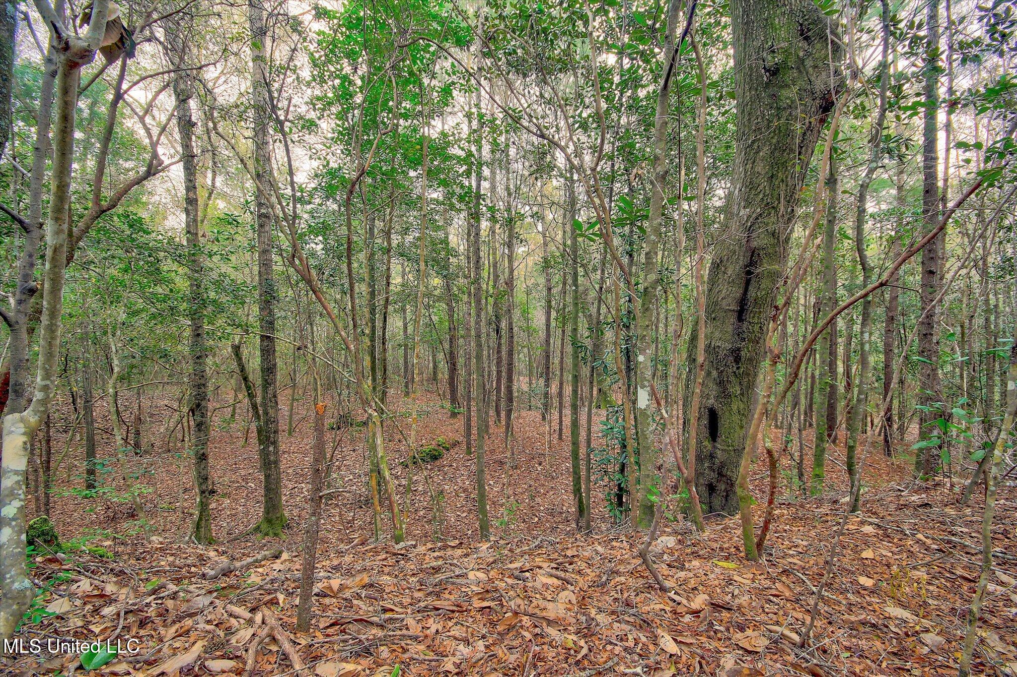 22445 Road 374 Property Photo 22