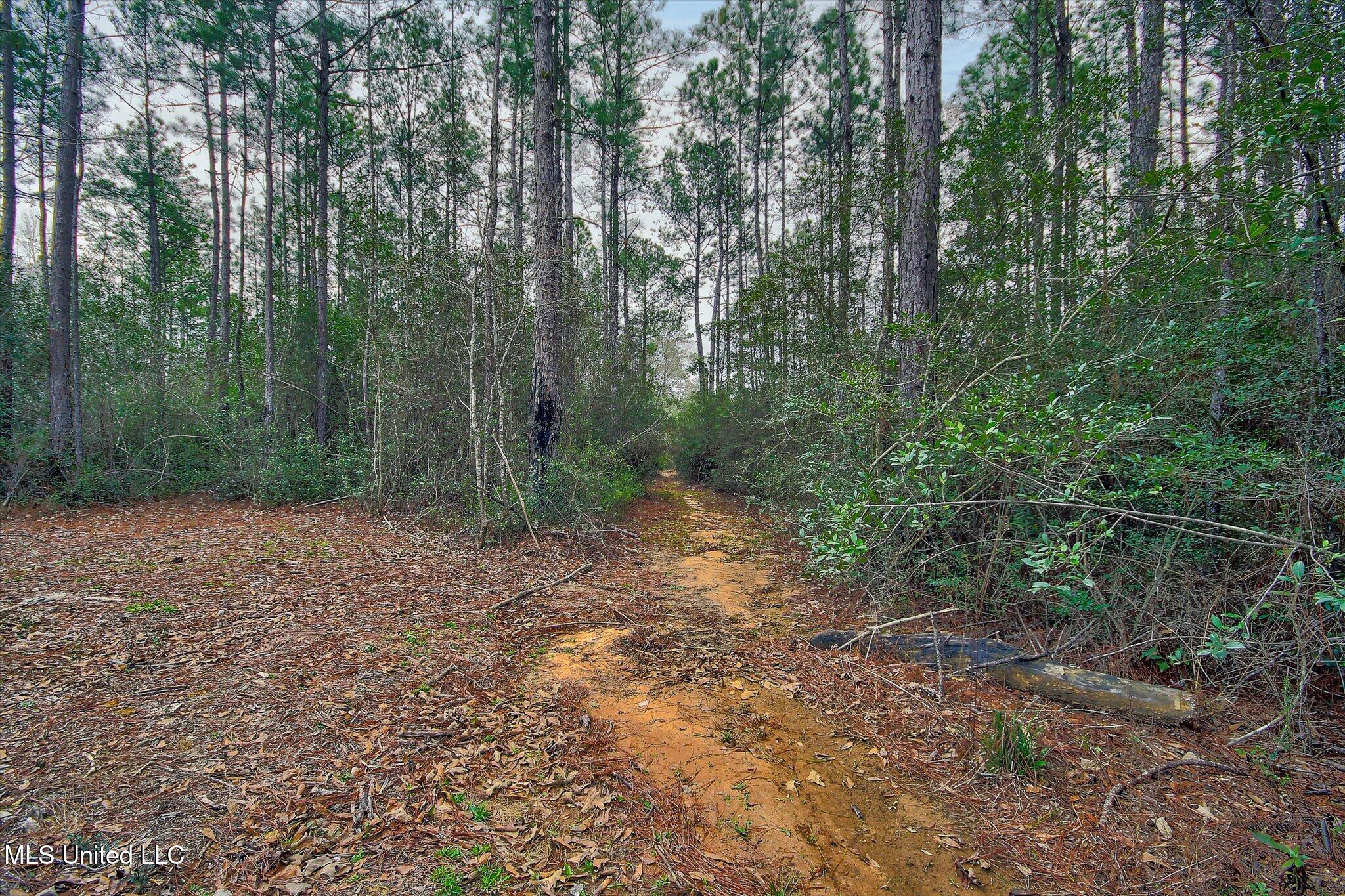 22445 Road 374 Property Photo 23