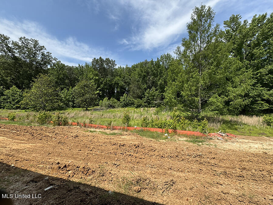 4229 W Olivia Circle Property Photo 3