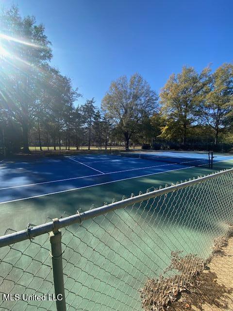 2190 Old Highway 49 Property Photo 5