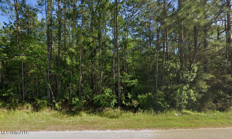 0 Comanche Street Property Photo 1