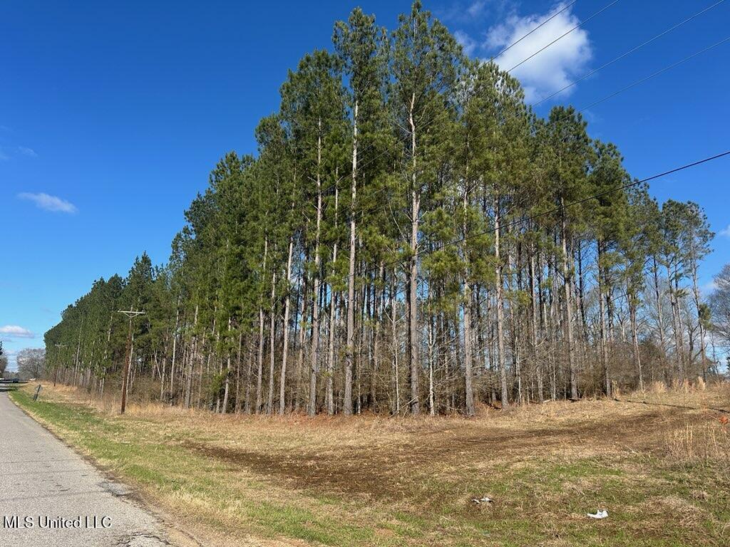 Smith County Road 99 Property Photo 1