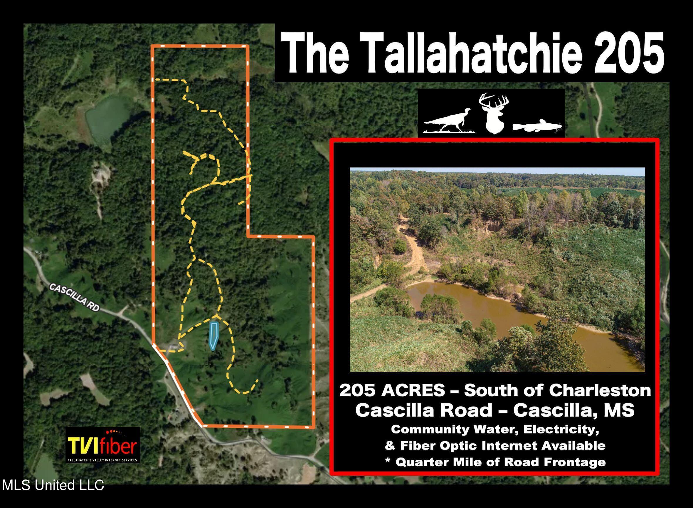 173 Cascilla Road Property Photo 1