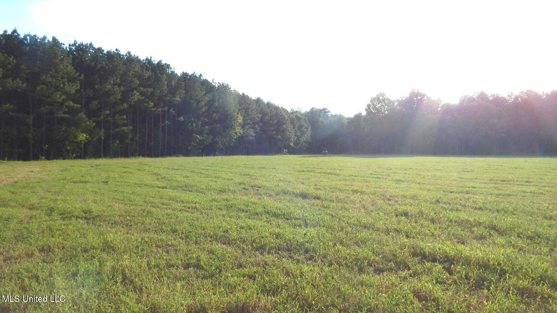 504 247 Country Road Property Photo 1