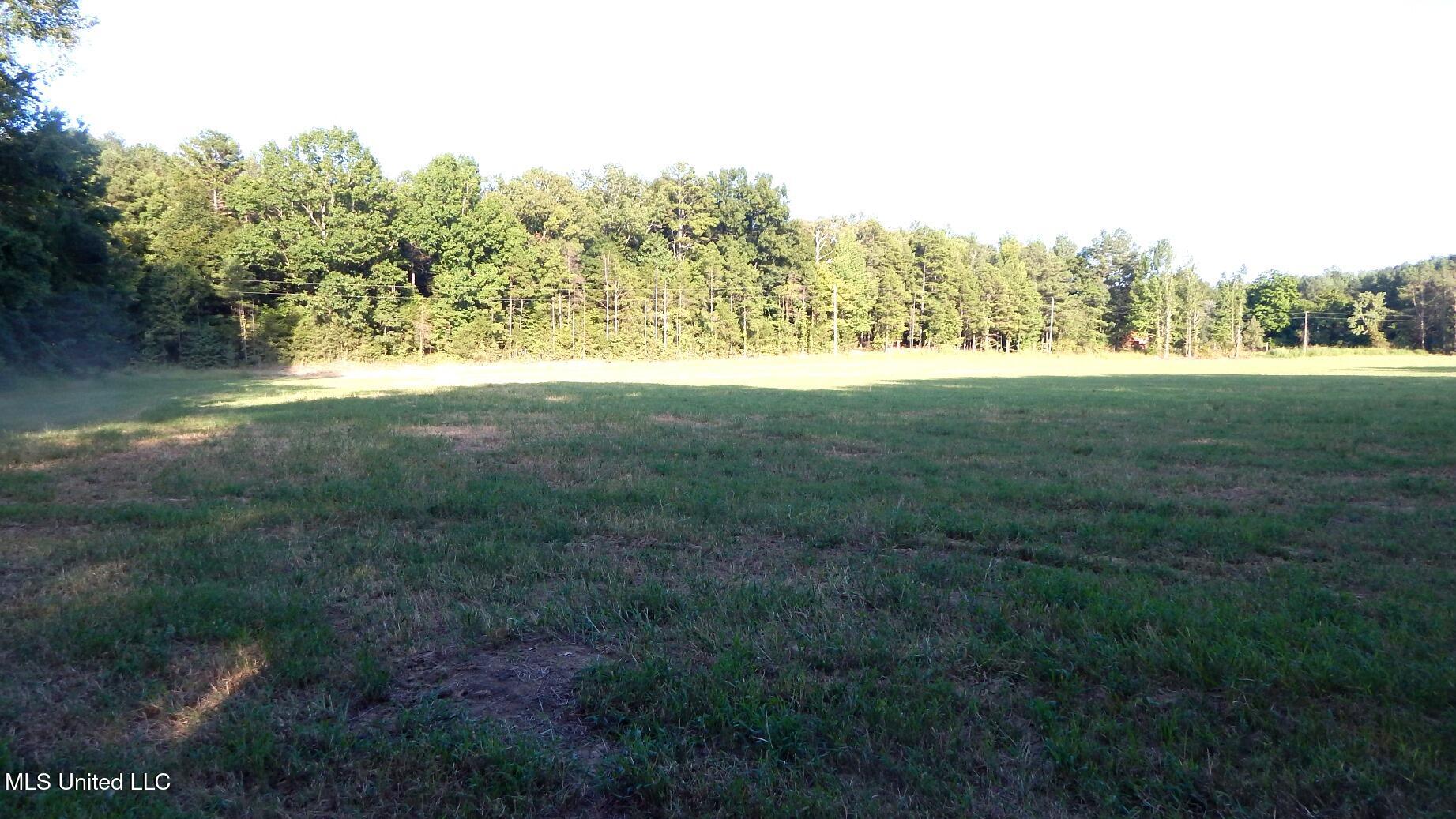 590 247 Country Road Property Photo 1